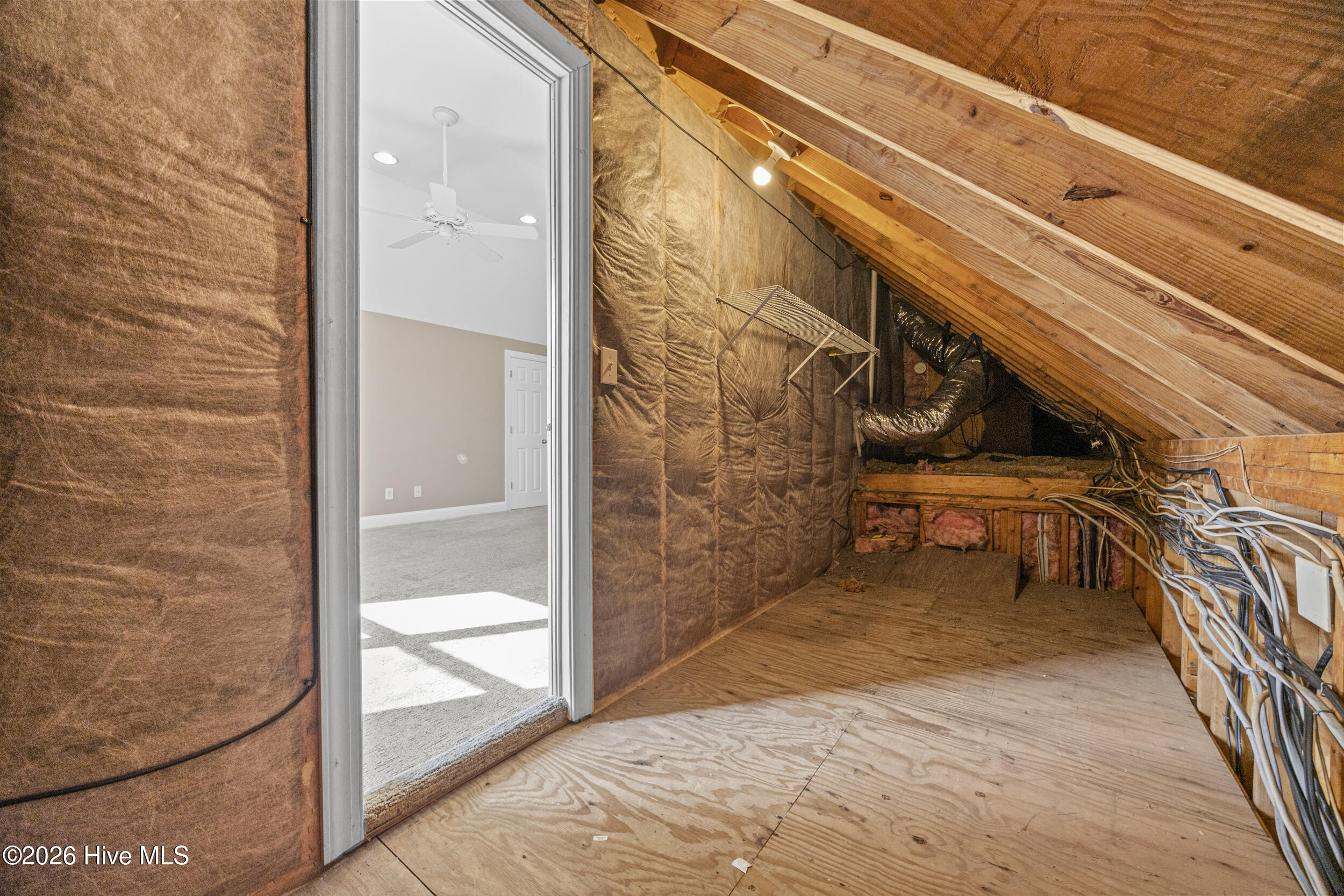 100560704 | Photo 59