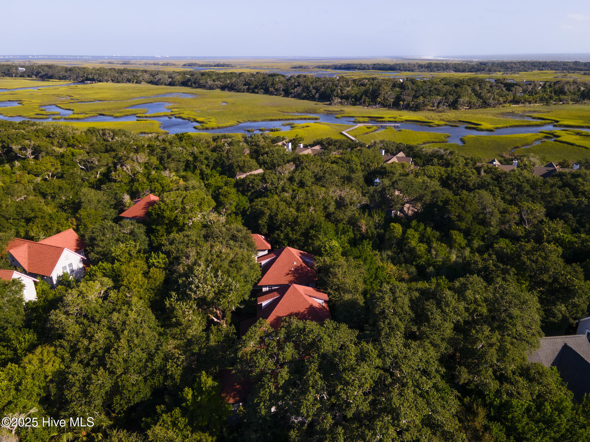 100534470 | Photo 46