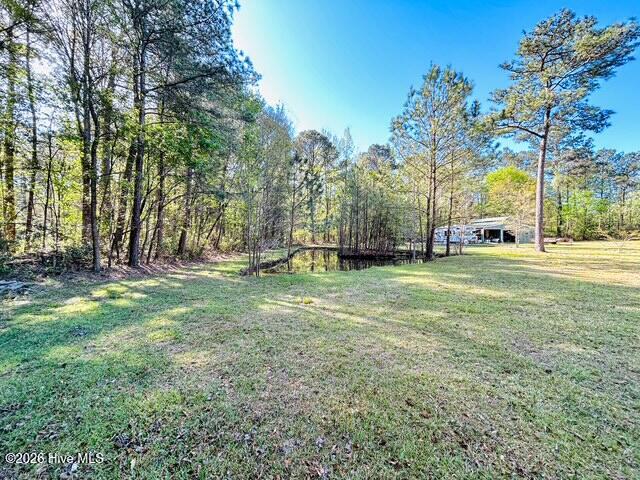 100566420 | Photo 12