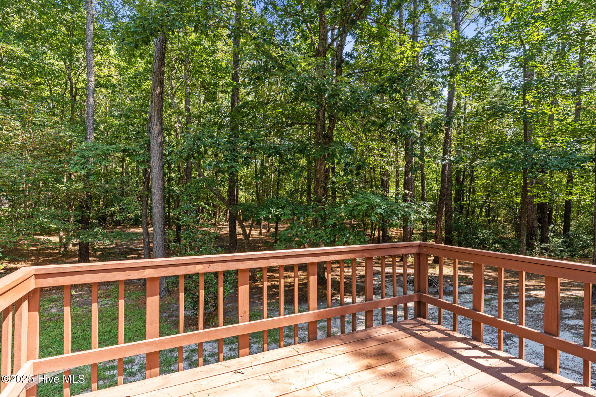 173 Live Oak Drive, Jacksonville, NC 28540 – photo 14: 17-web-or-mls-CAMMediaLLC.com (44 of 52)