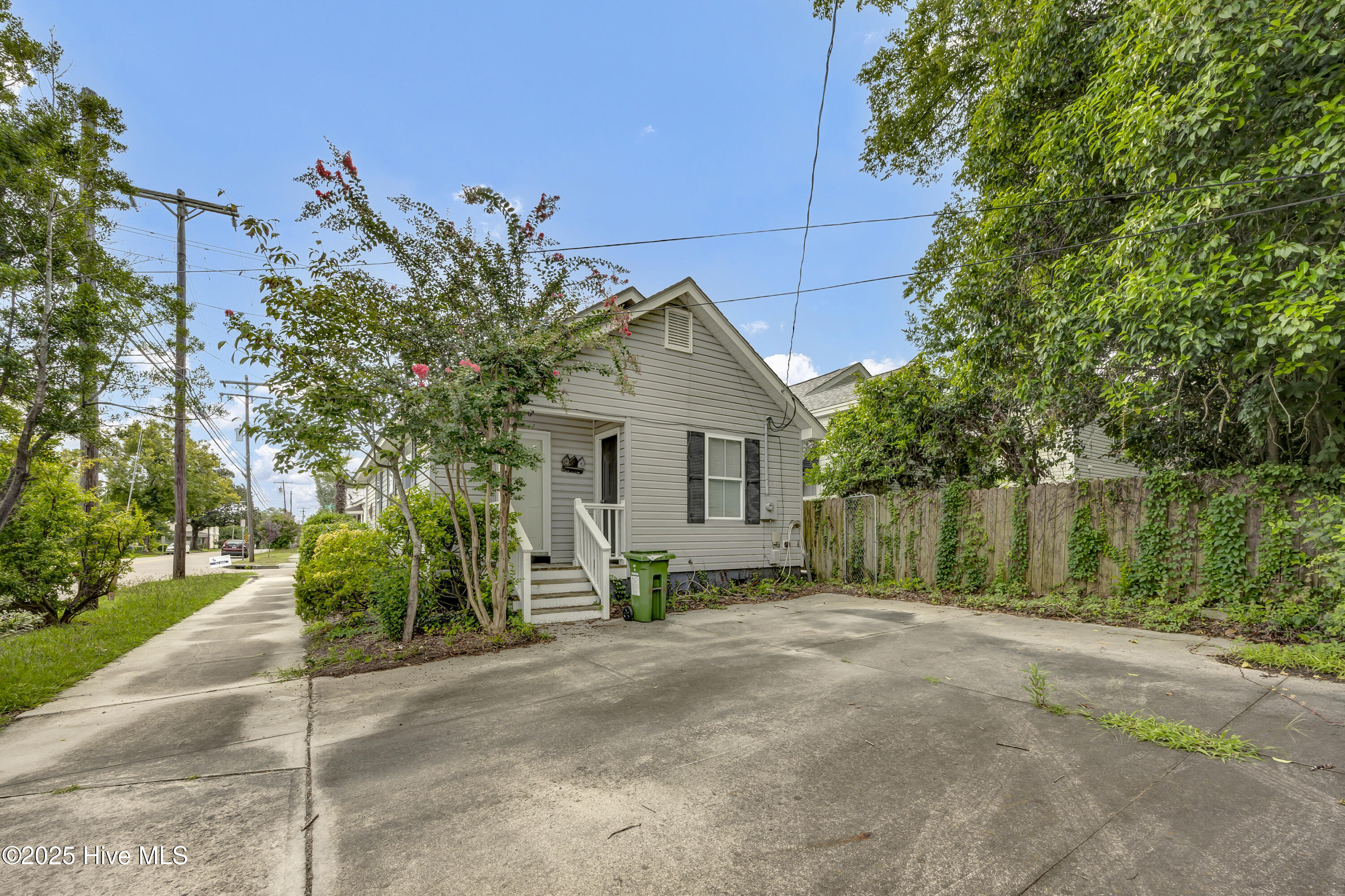 100523504 | Photo 19