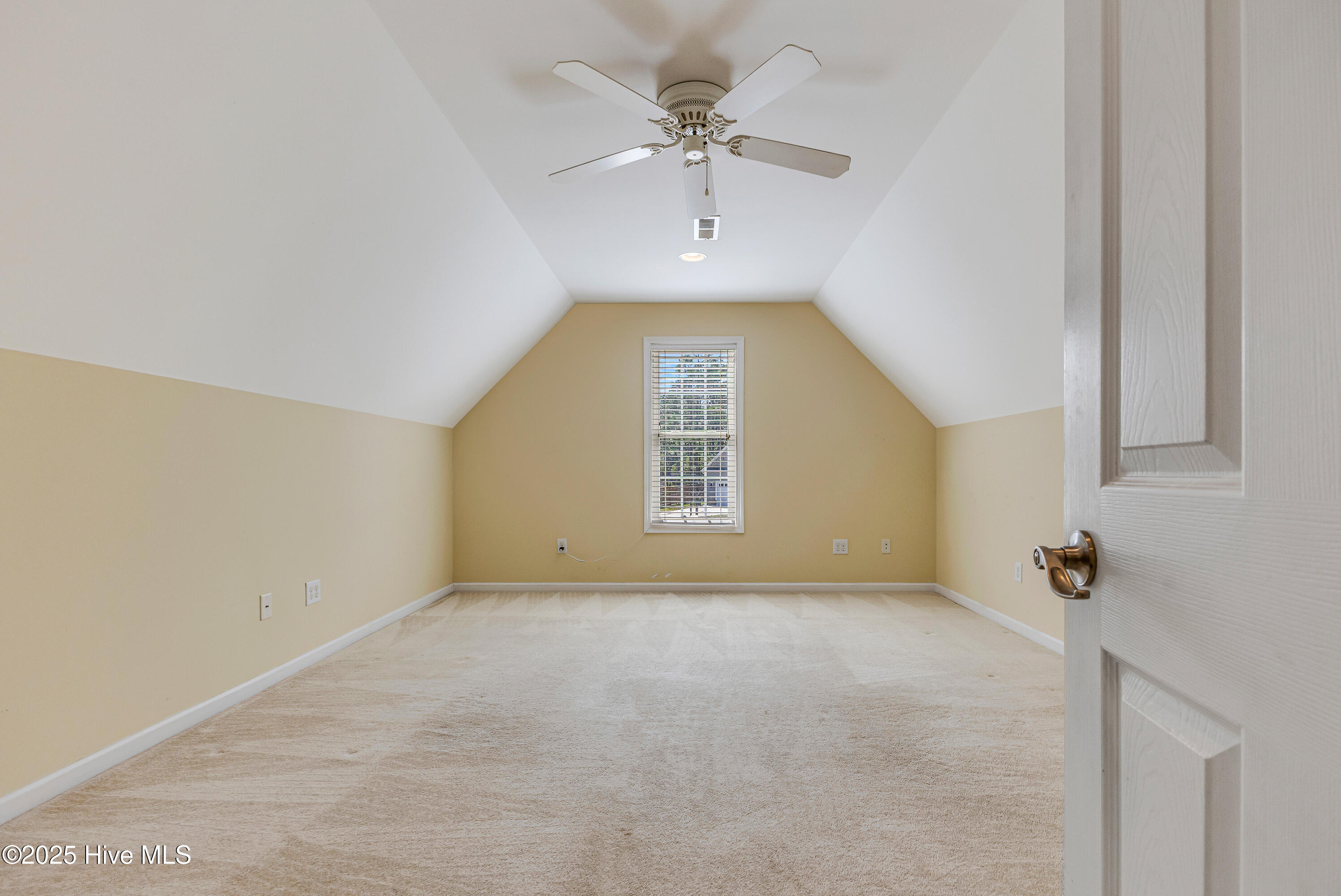 100535789 | Photo 30