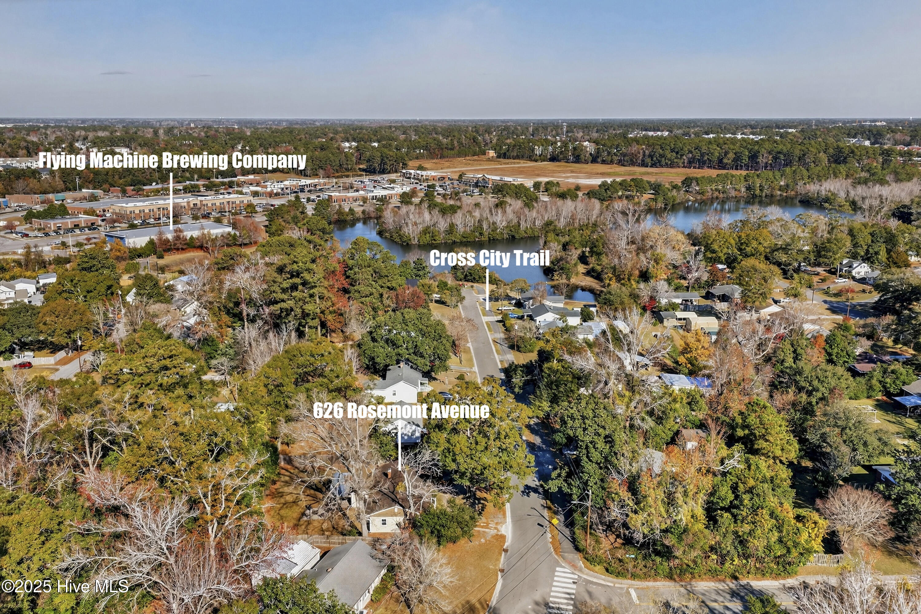 100567481 | Photo 26