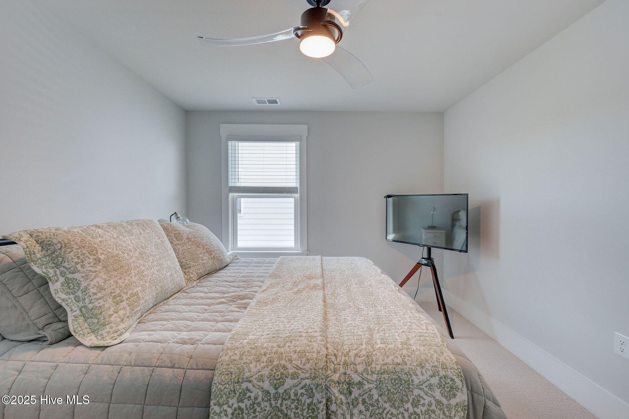 100524366 | Photo 37