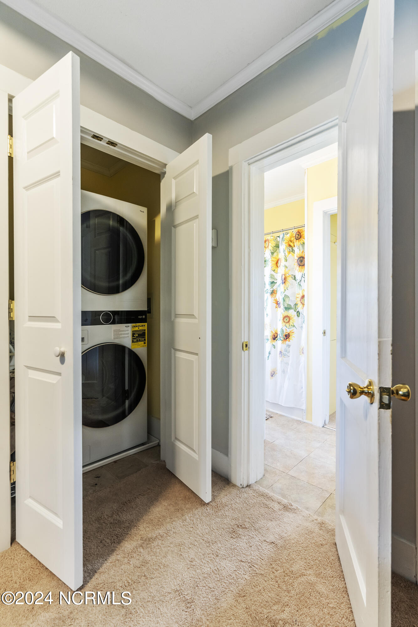 100488510 | Photo 24