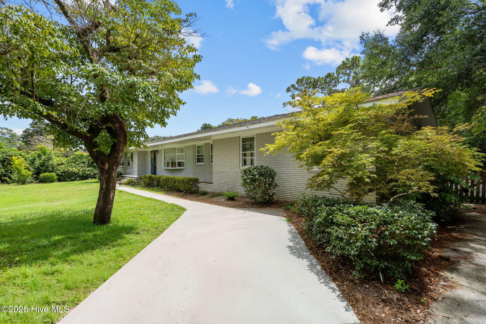 100525803 | Photo 40