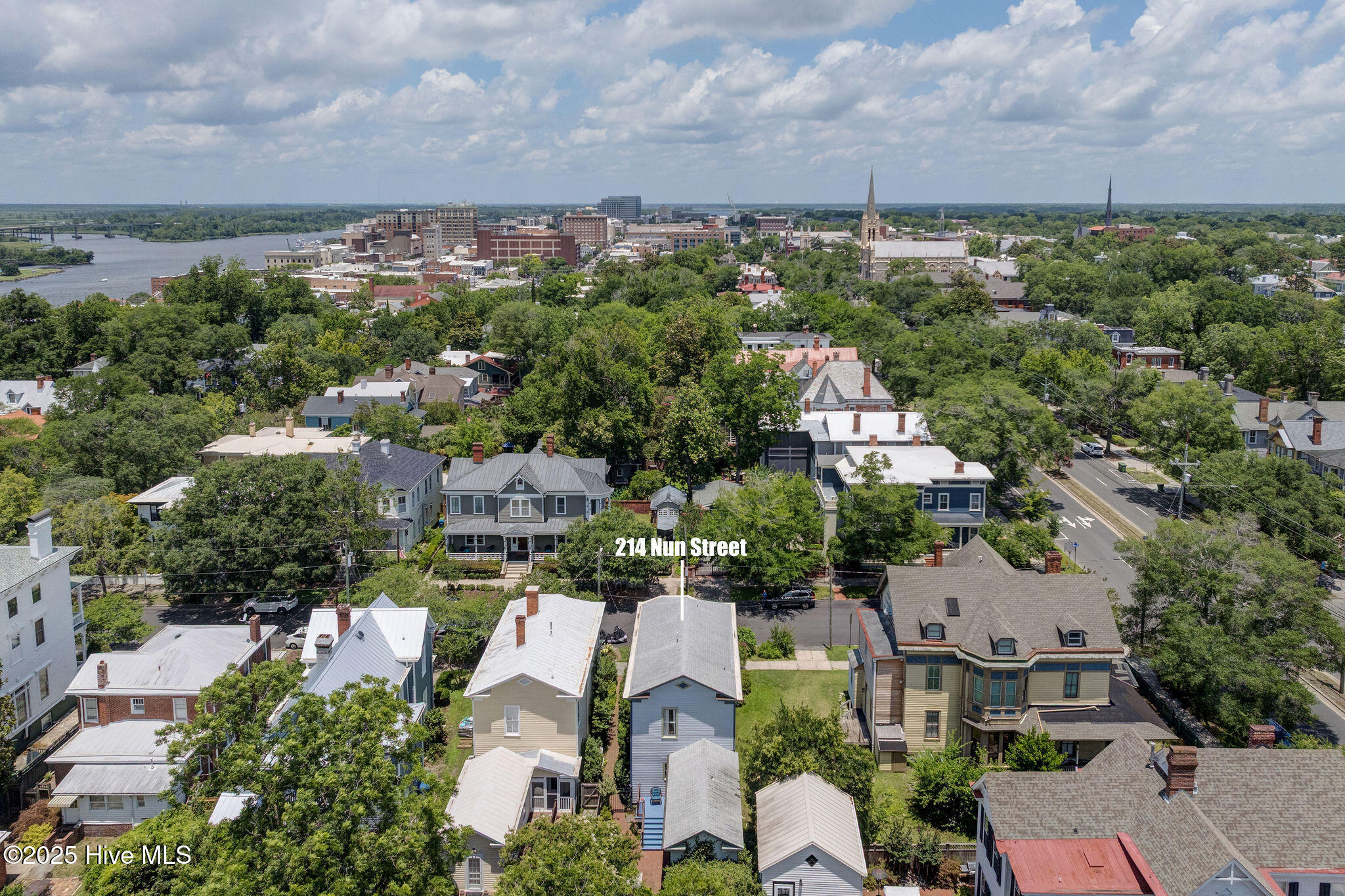 100515844 | Photo 50