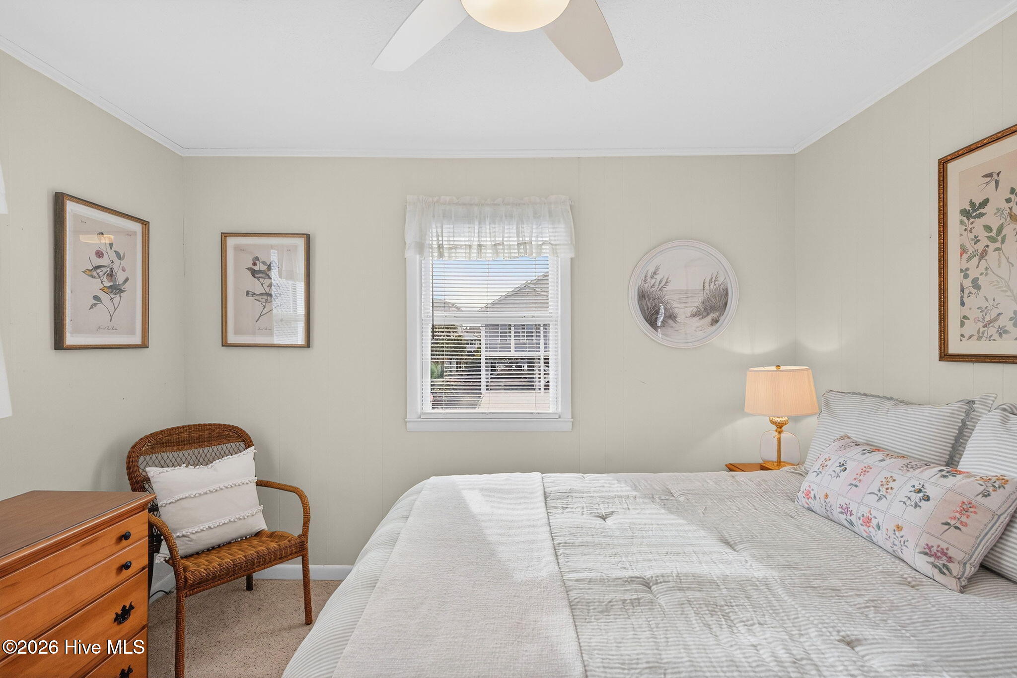 100556998 | Photo 24