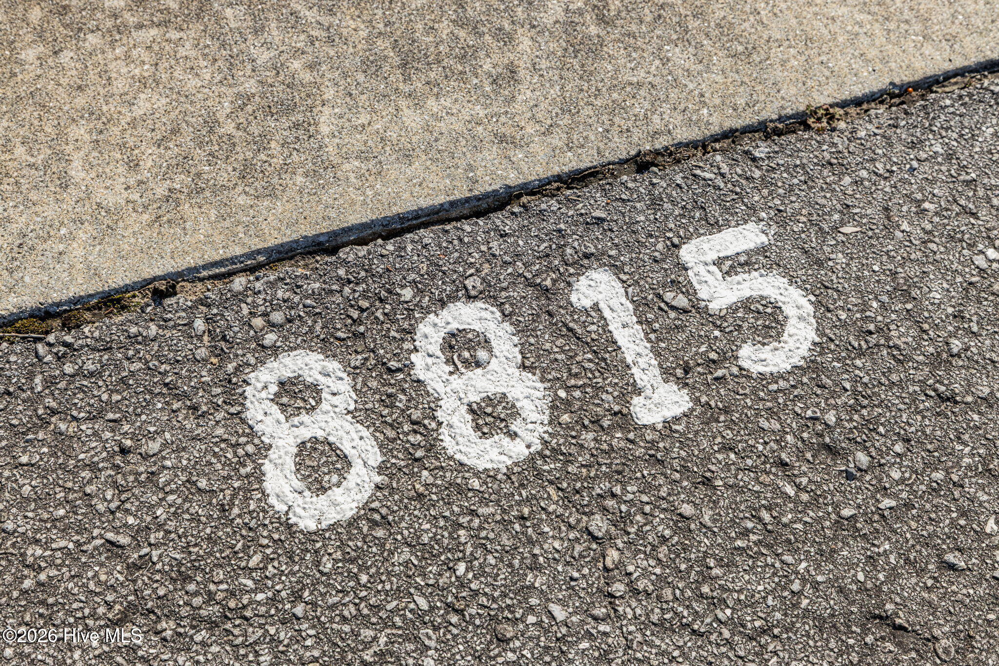 100557807 | Photo 47