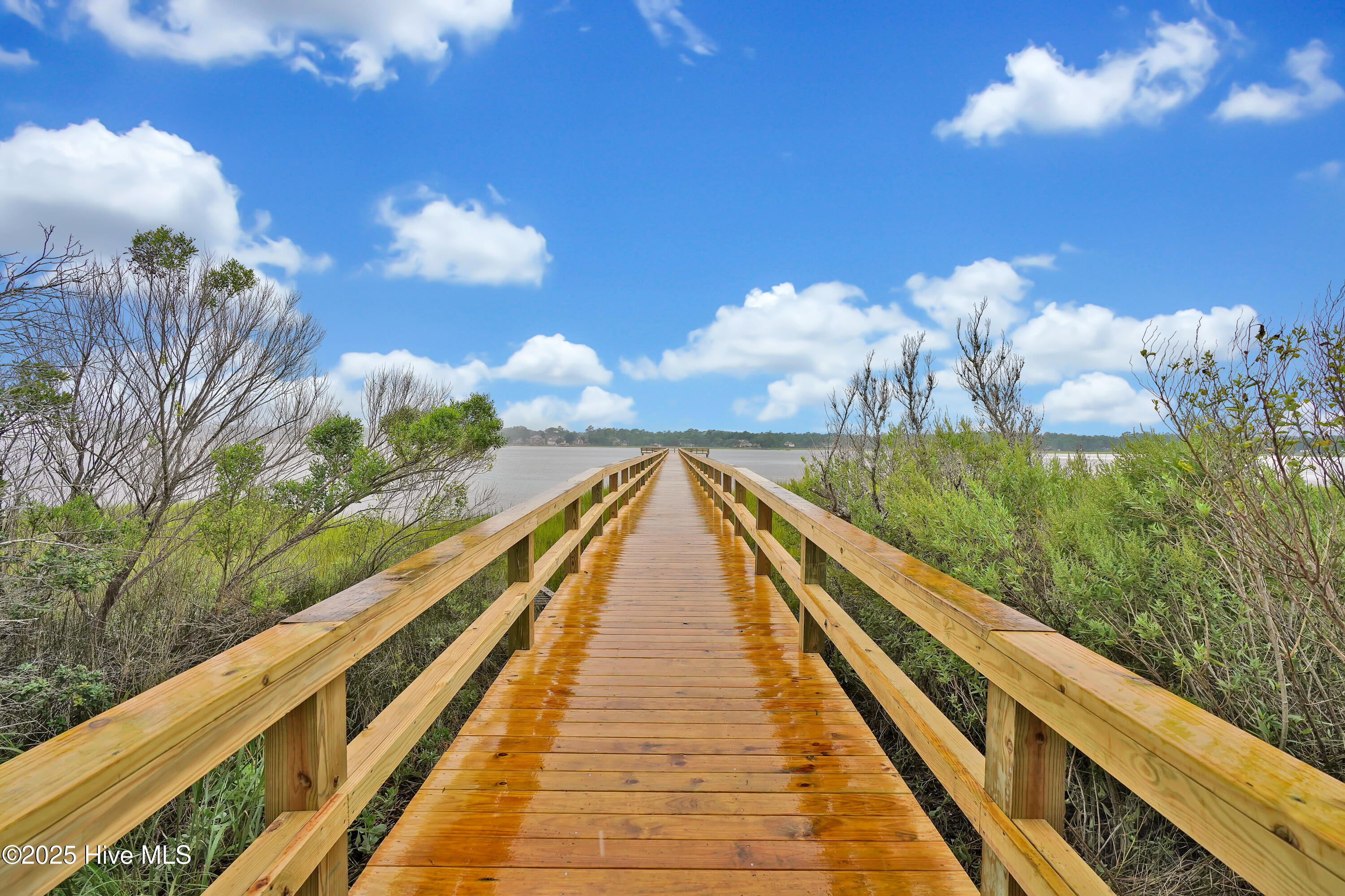 100508775 | Photo 43