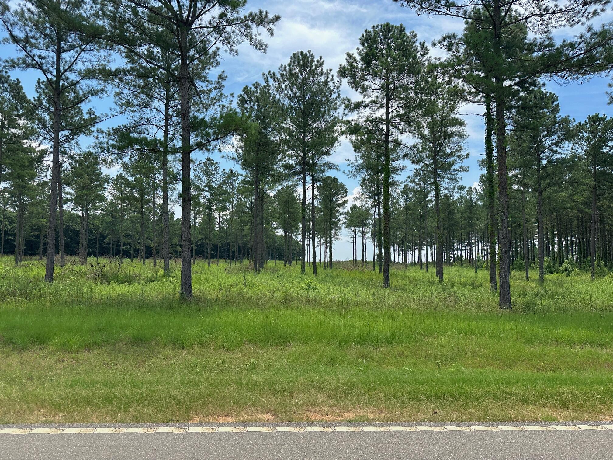 0 Chappel Road, Waynesboro, GA, 30830