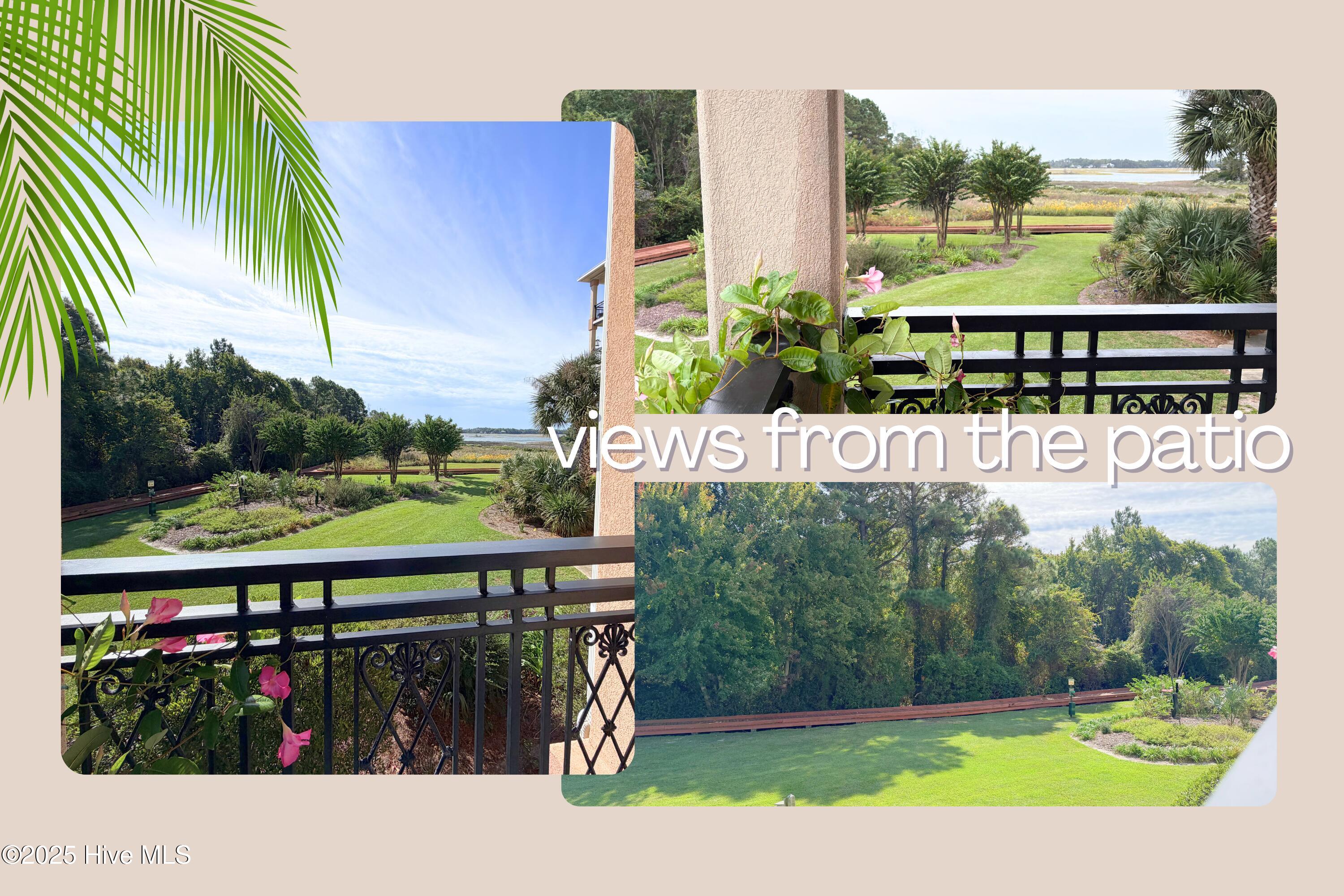 100535448 | Photo 42