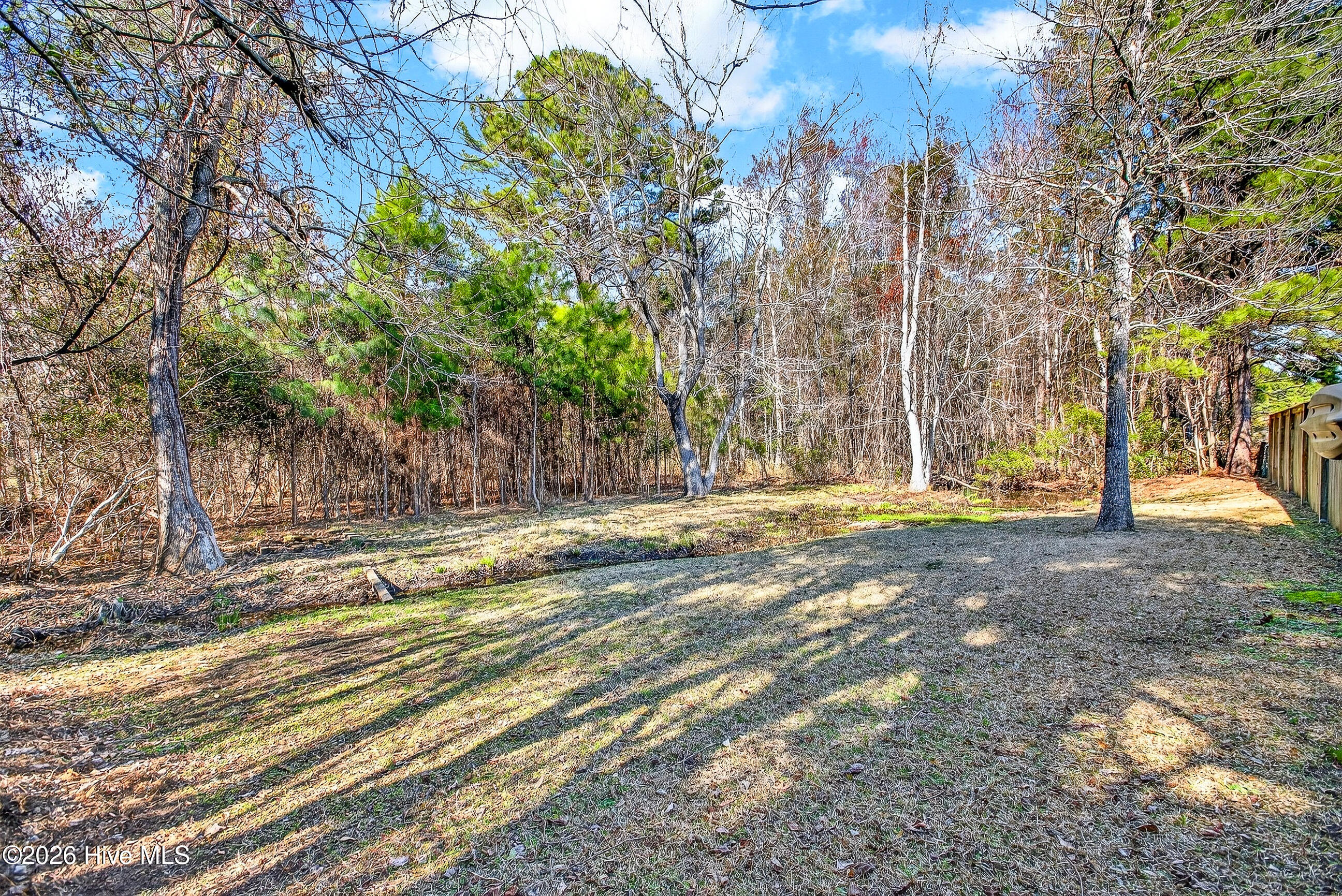 100557128 | Photo 24