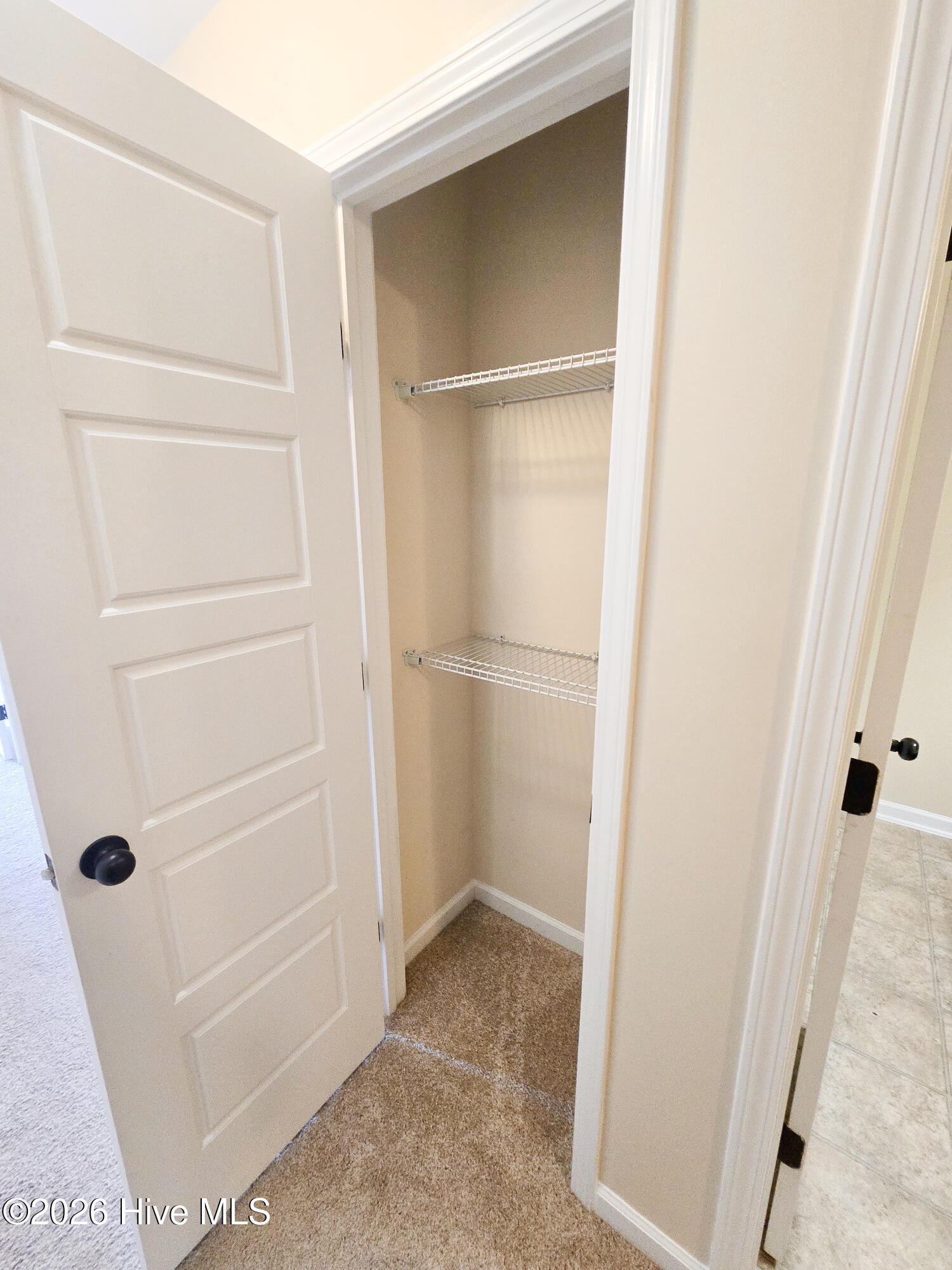 100557279 | Photo 21