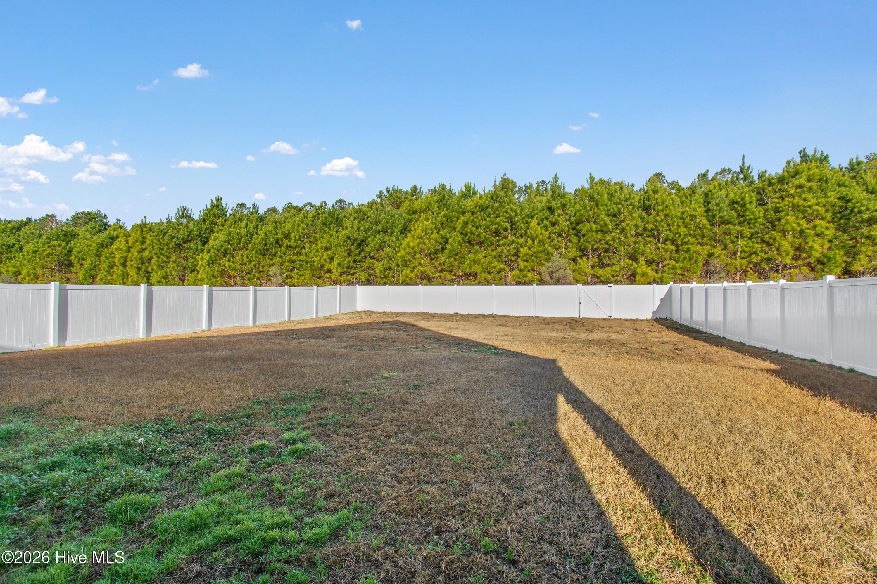 100547710 | Photo 31