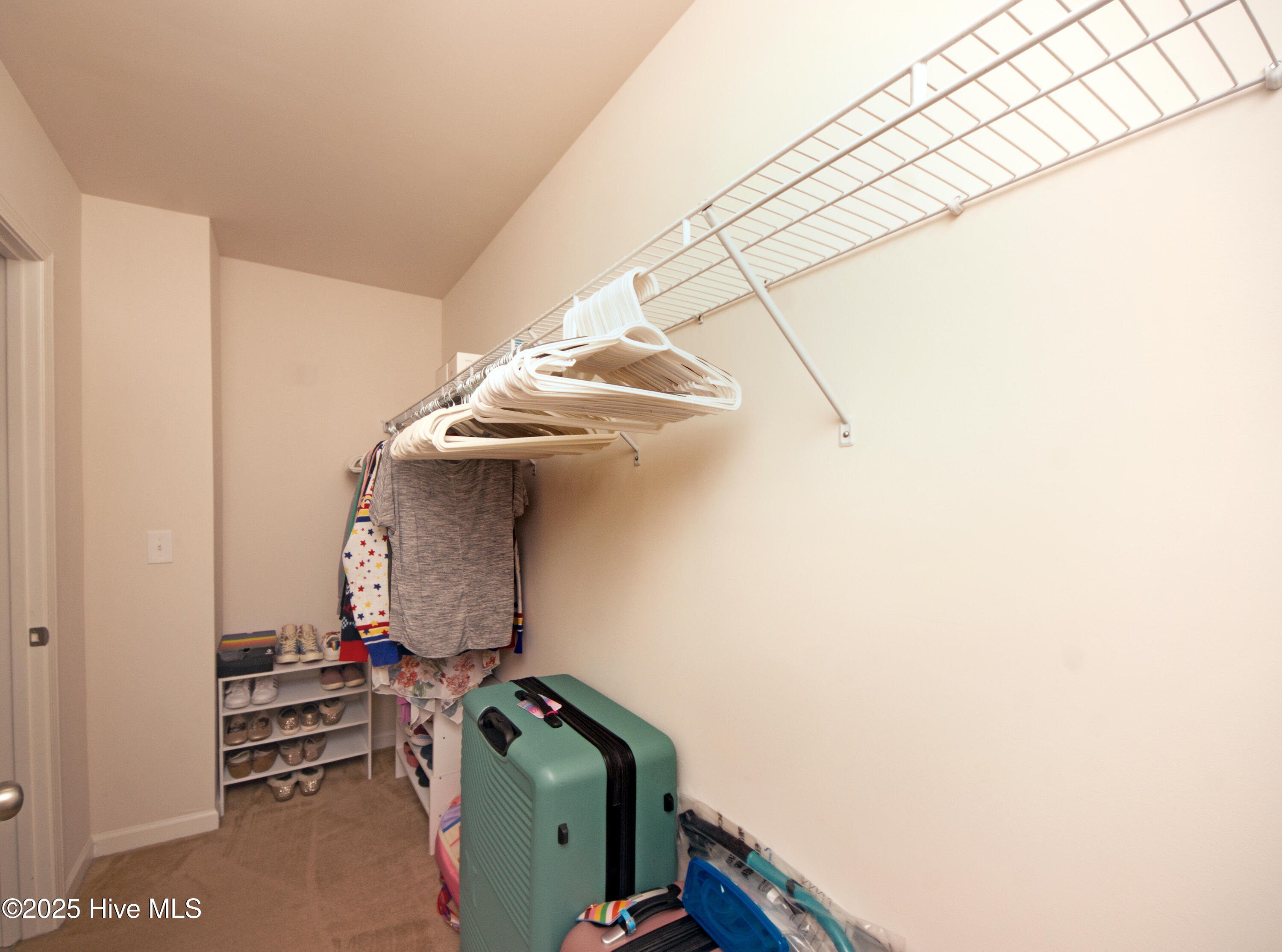 100542211 | Photo 51