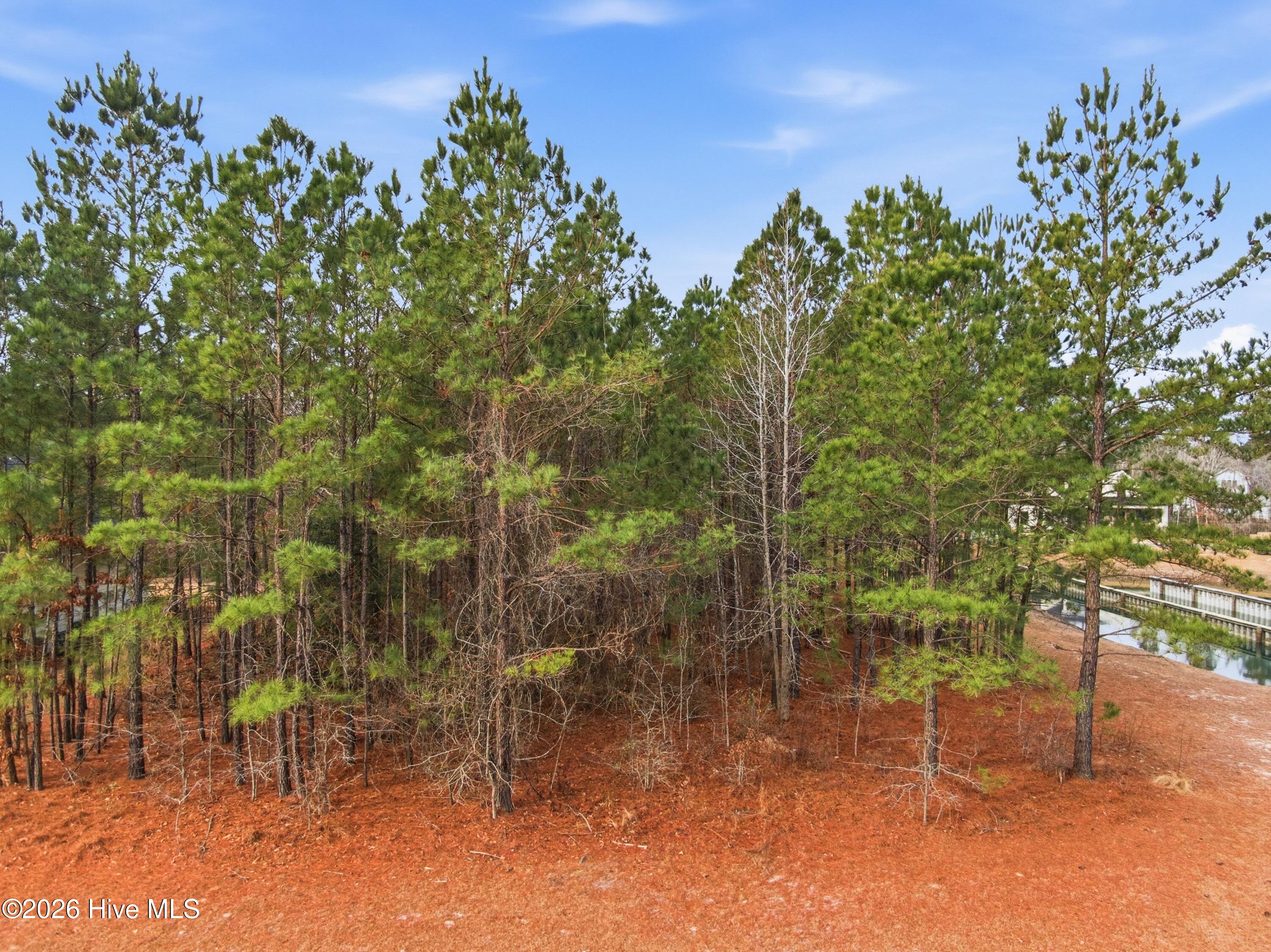 100551490 | Photo 65