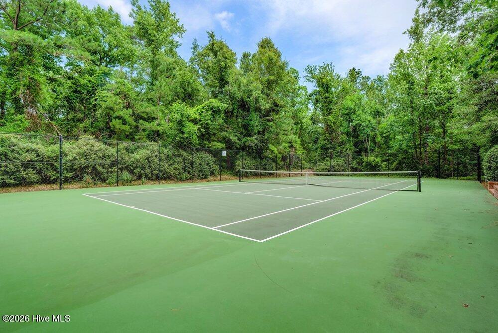 100563966 | Photo 82