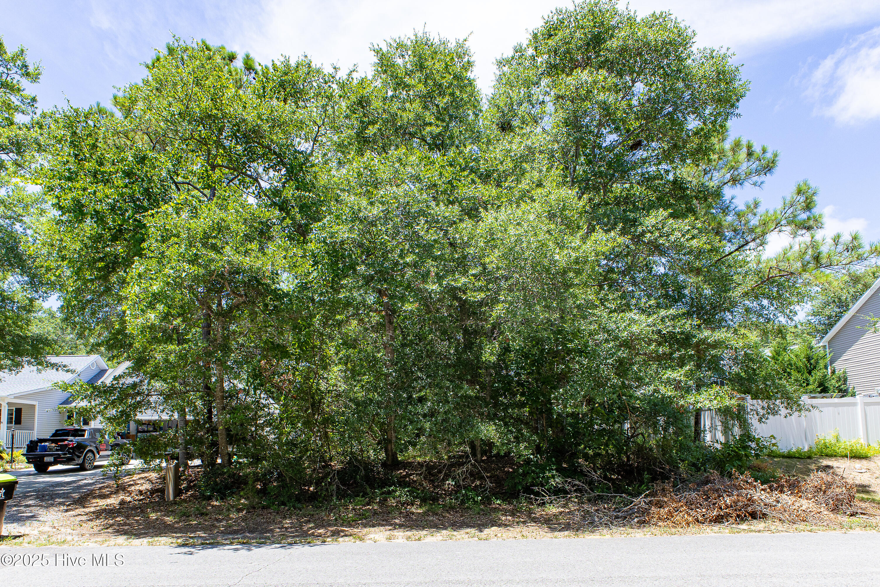 100519177 | Photo 14