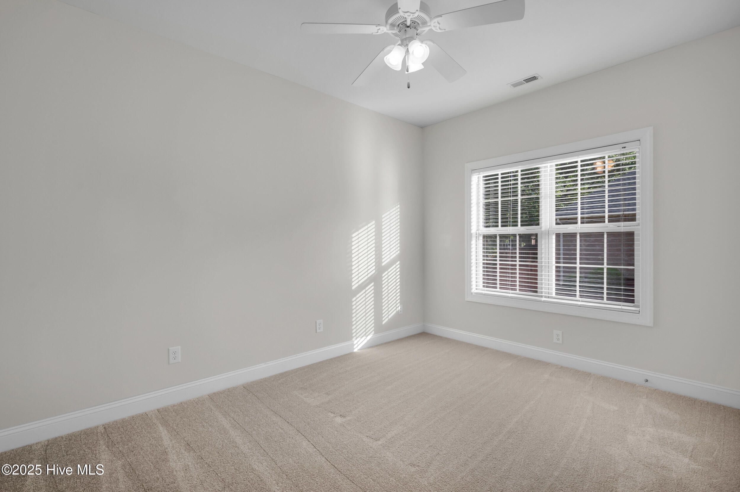 100539518 | Photo 33