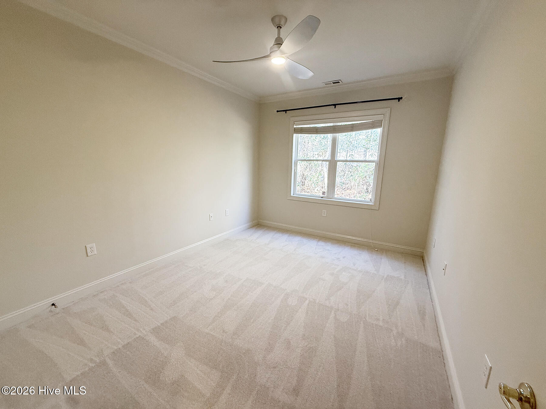 100552505 | Photo 10