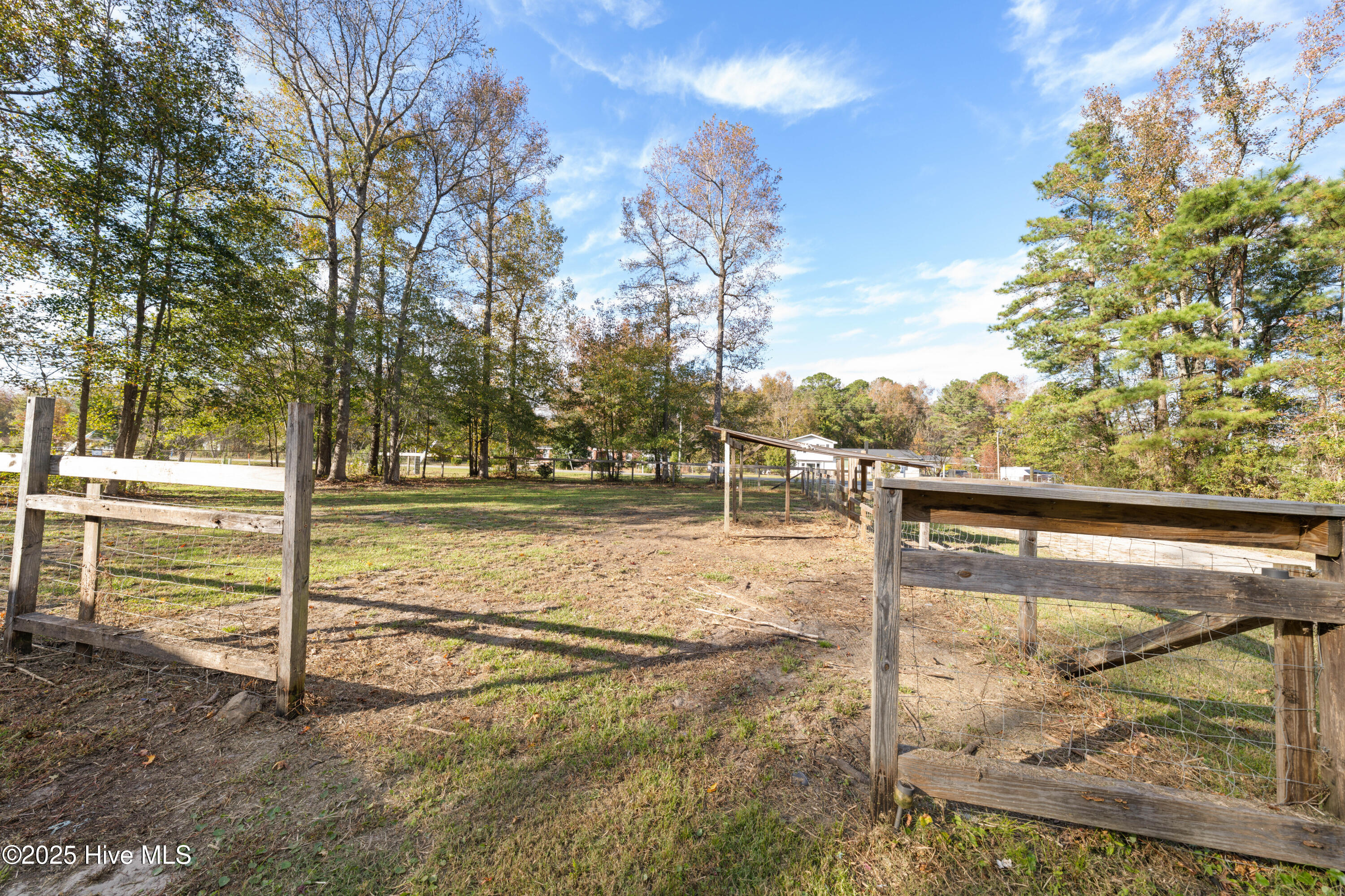 100541471 | Photo 34