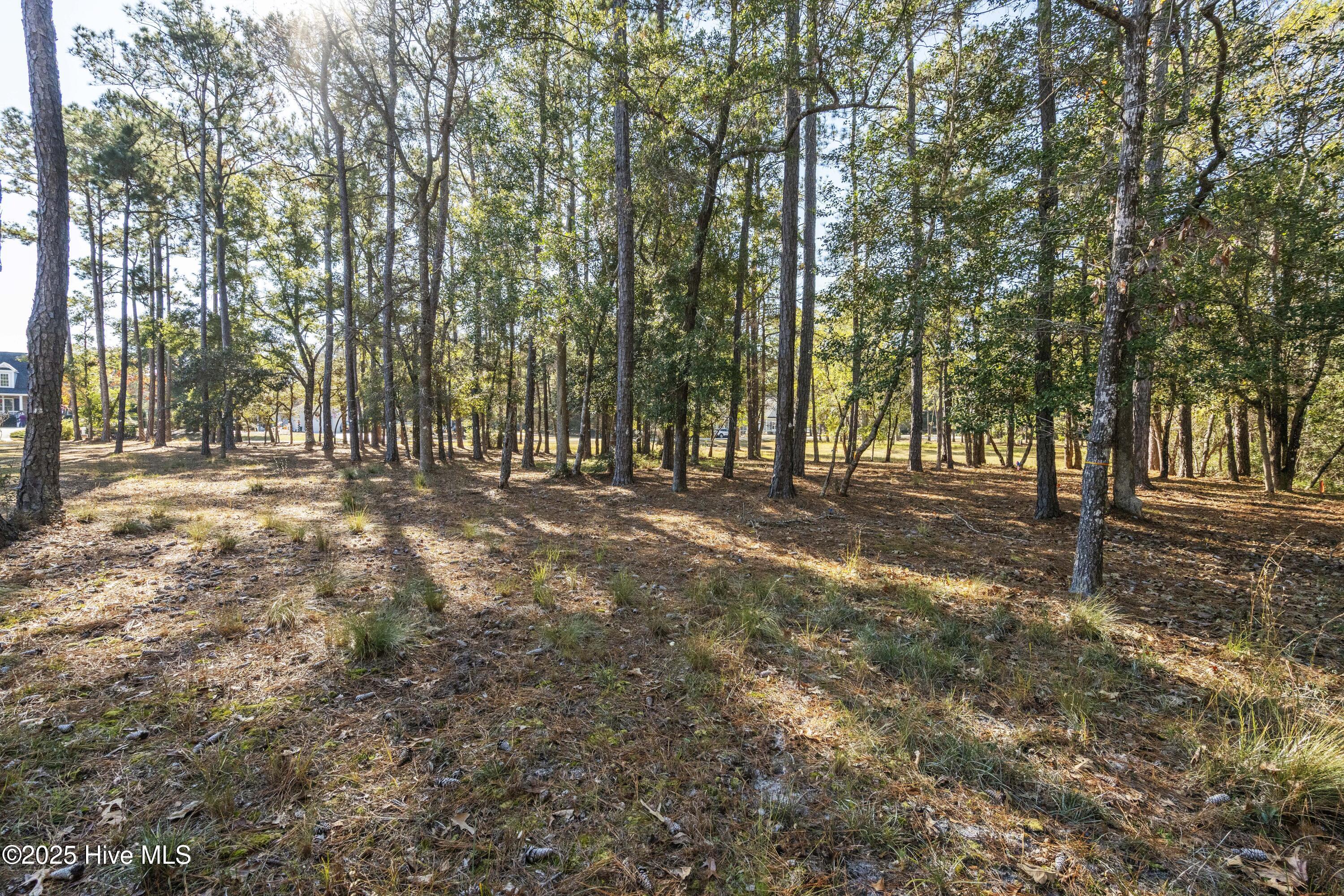 100545340 | Photo 17