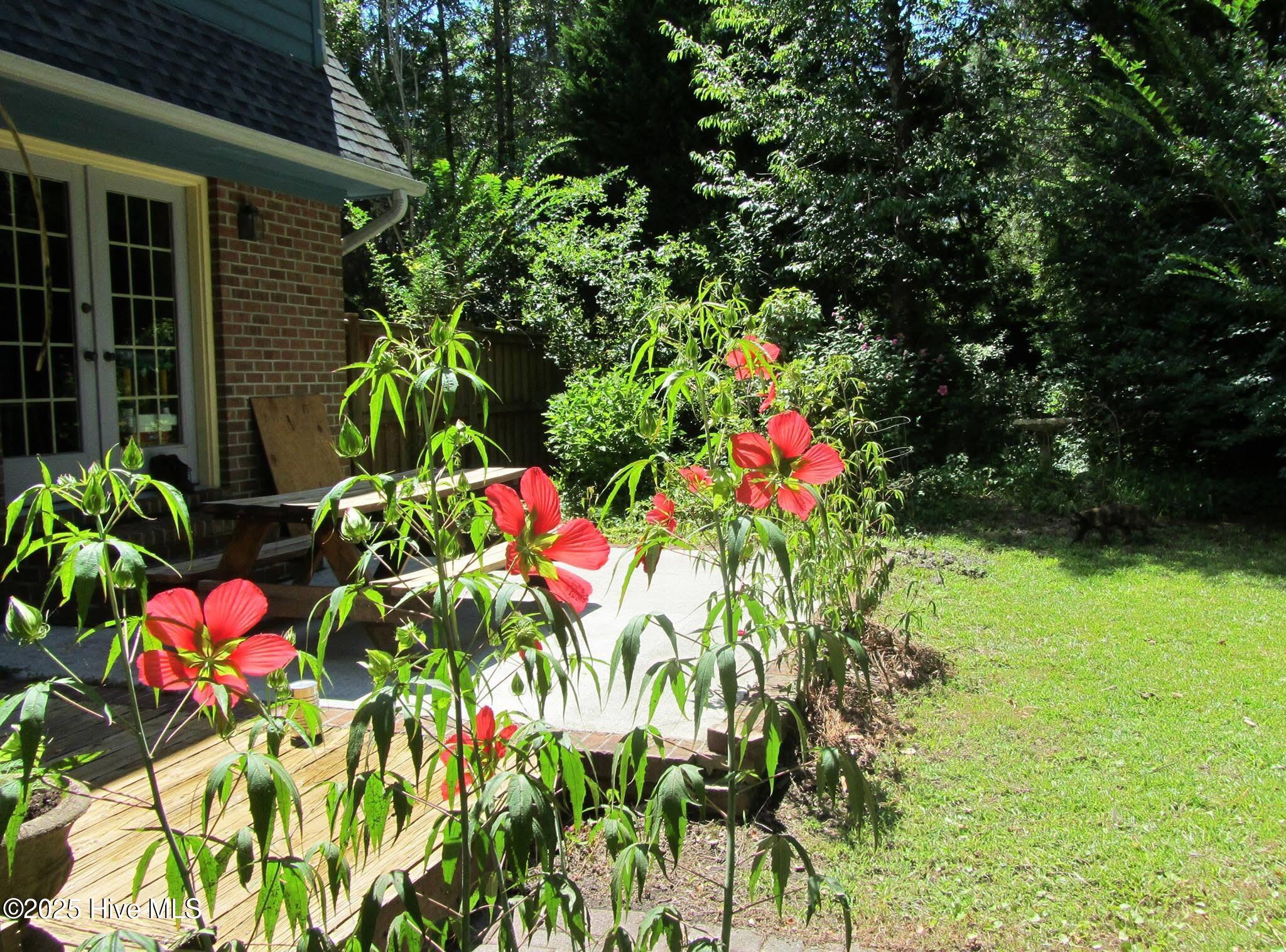 100540294 | Photo 42