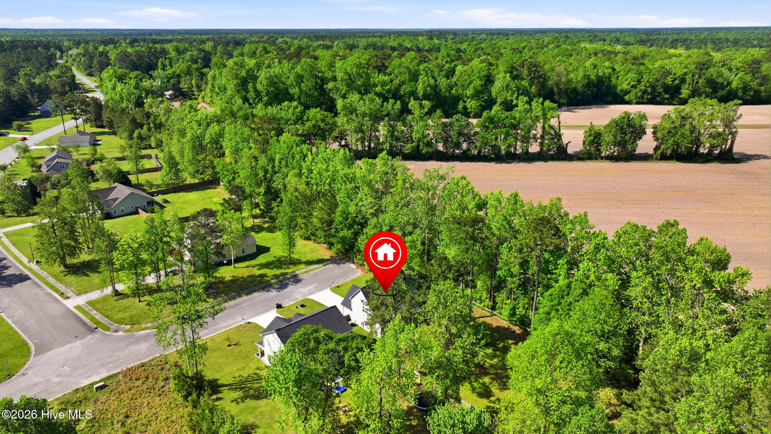 100568346 | Photo 45