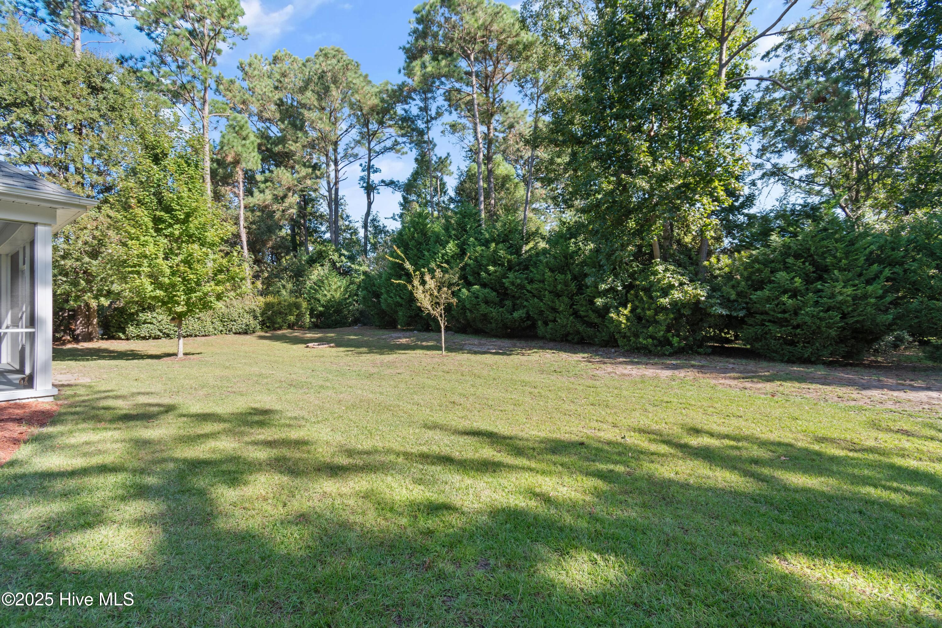 100534757 | Photo 40