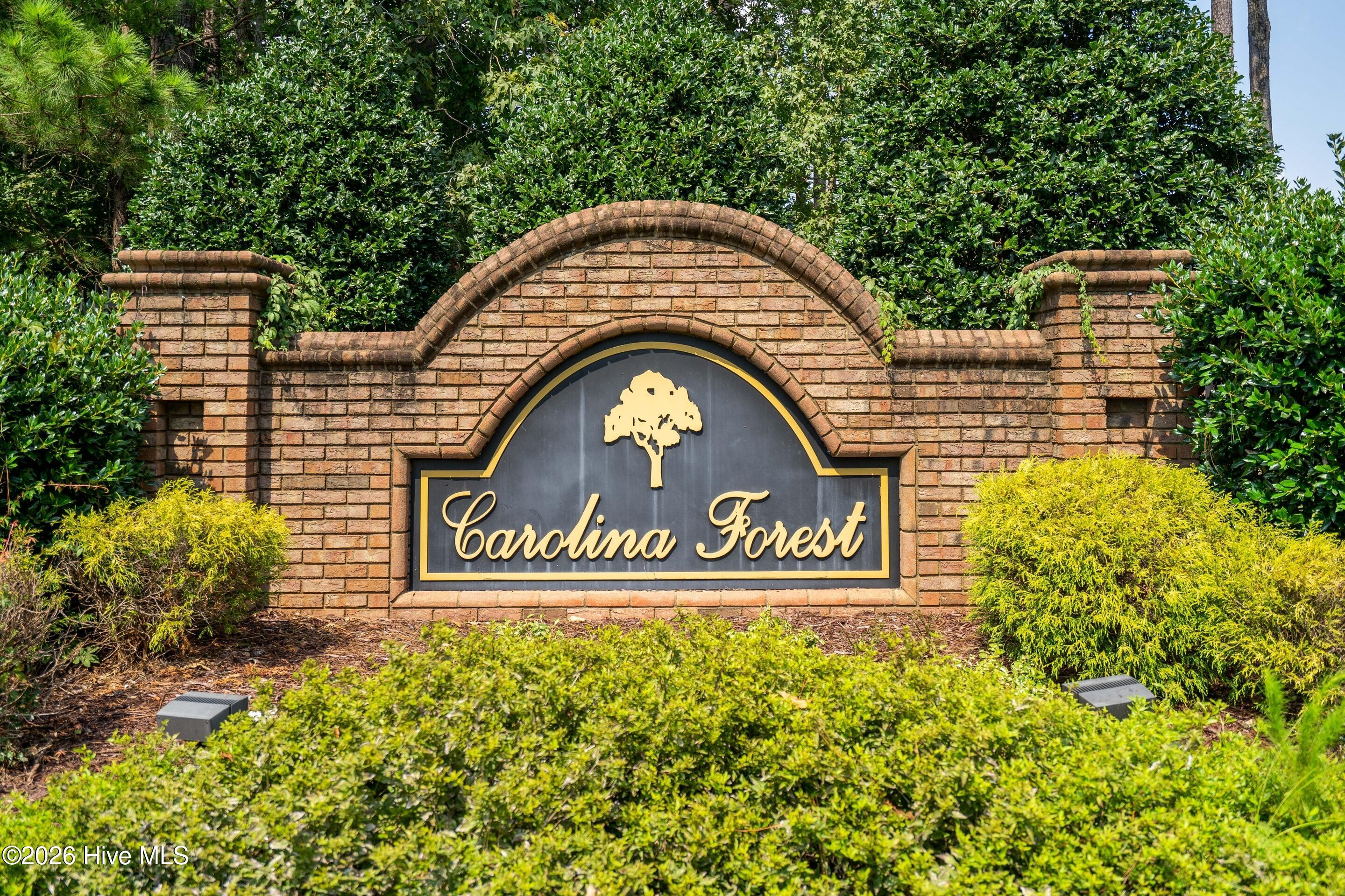 100561216 | Photo 41