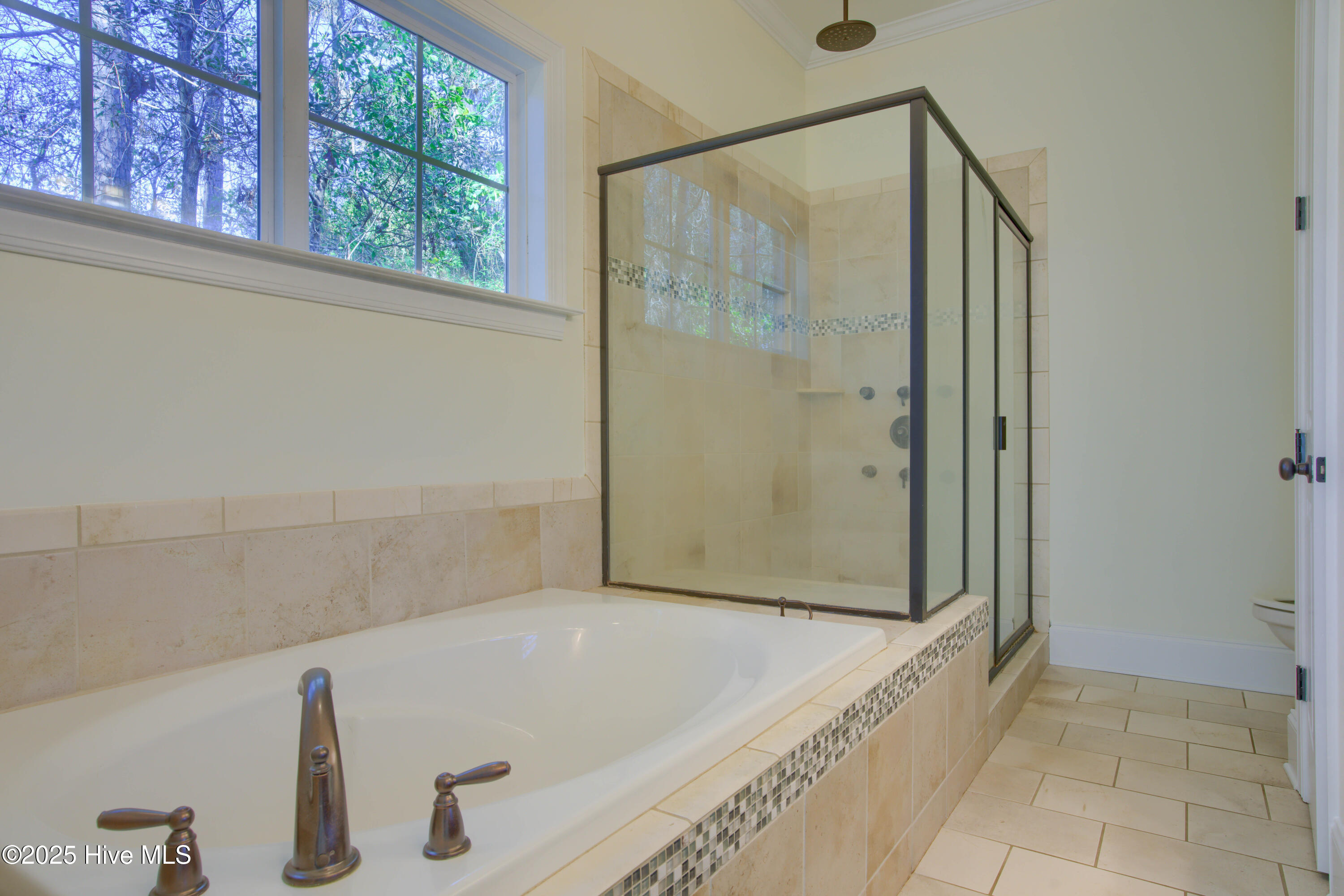 100545720 | Photo 19