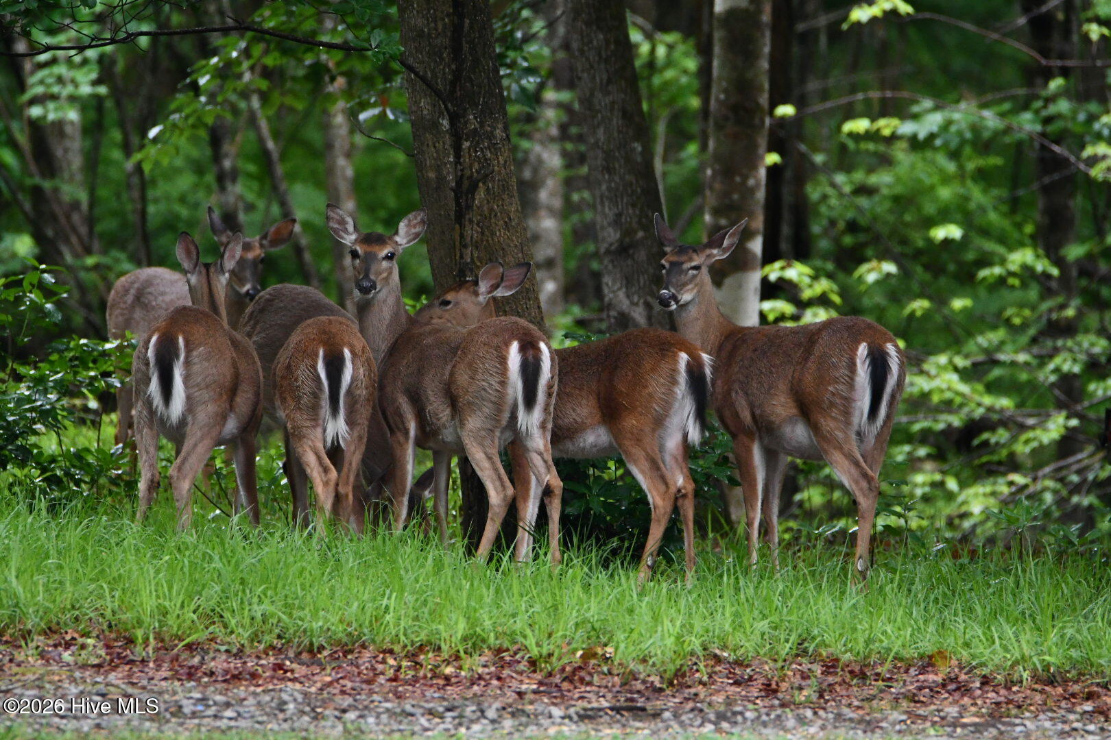 108 Farmington Road, Grimesland, NC, 27837