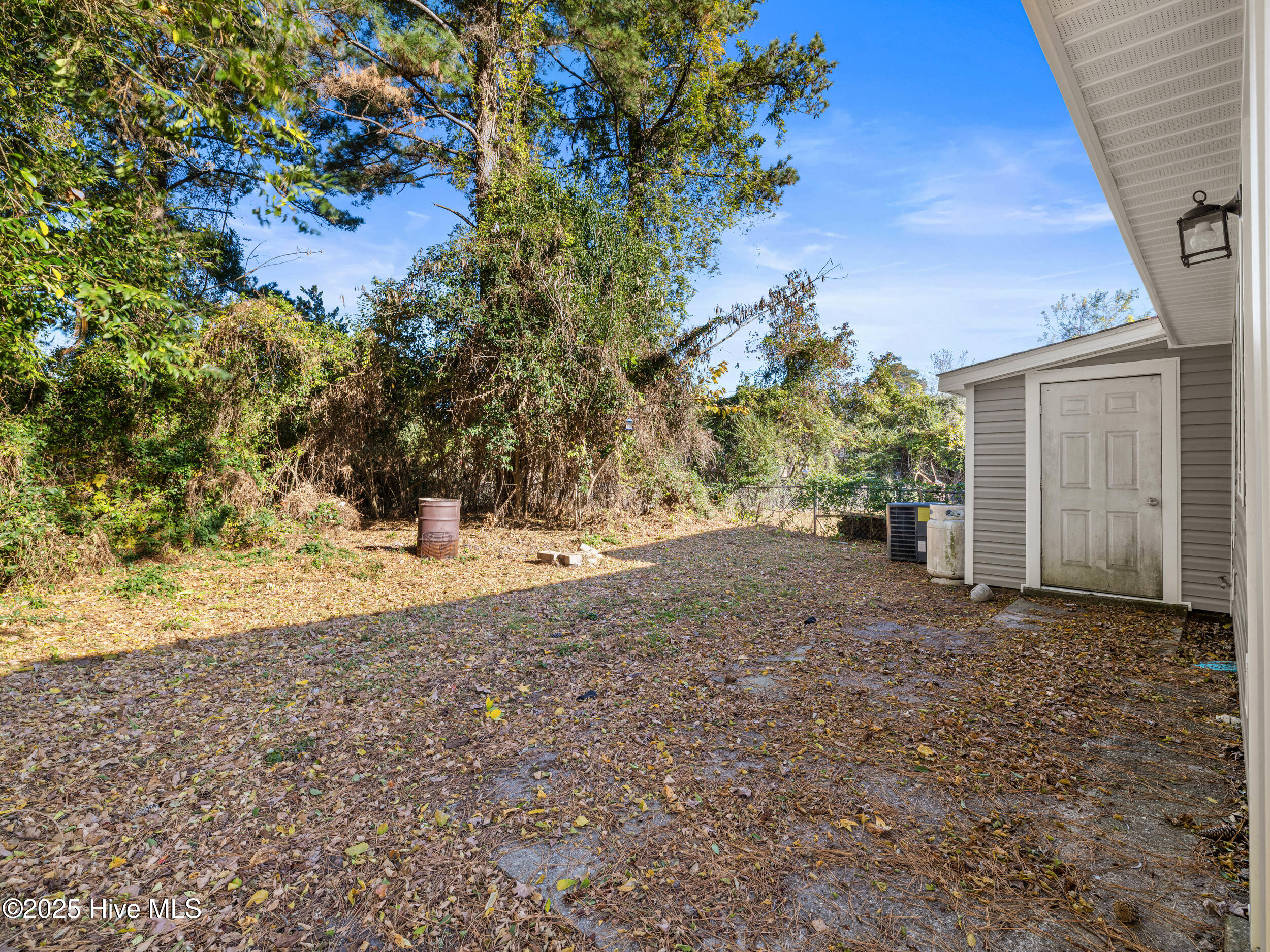 100540466 | Photo 19