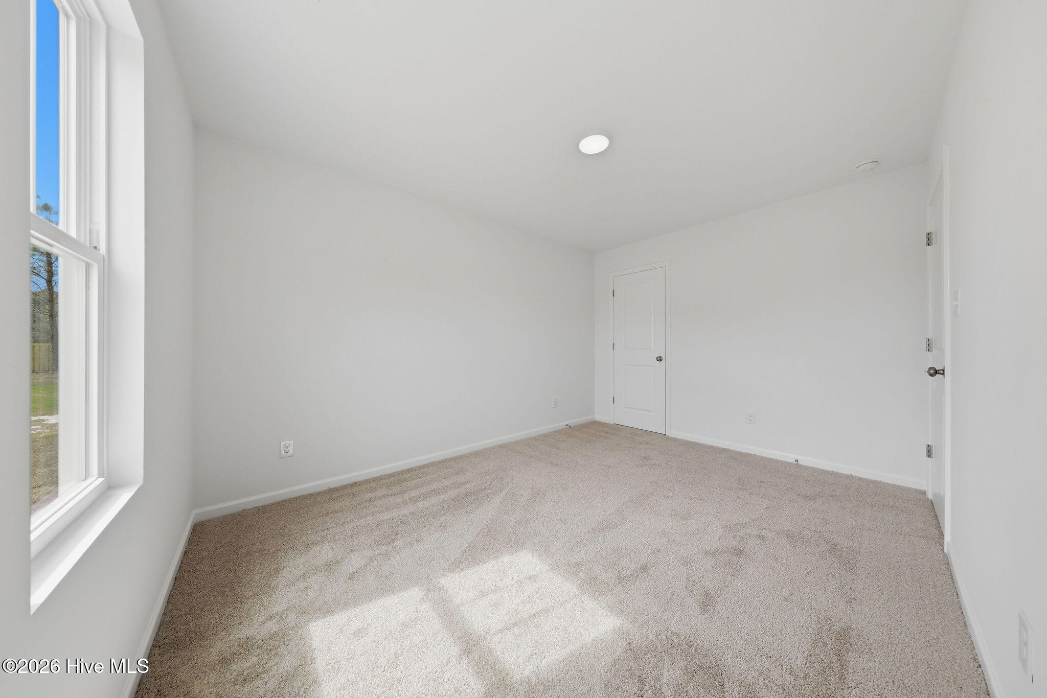 100554240 | Photo 42