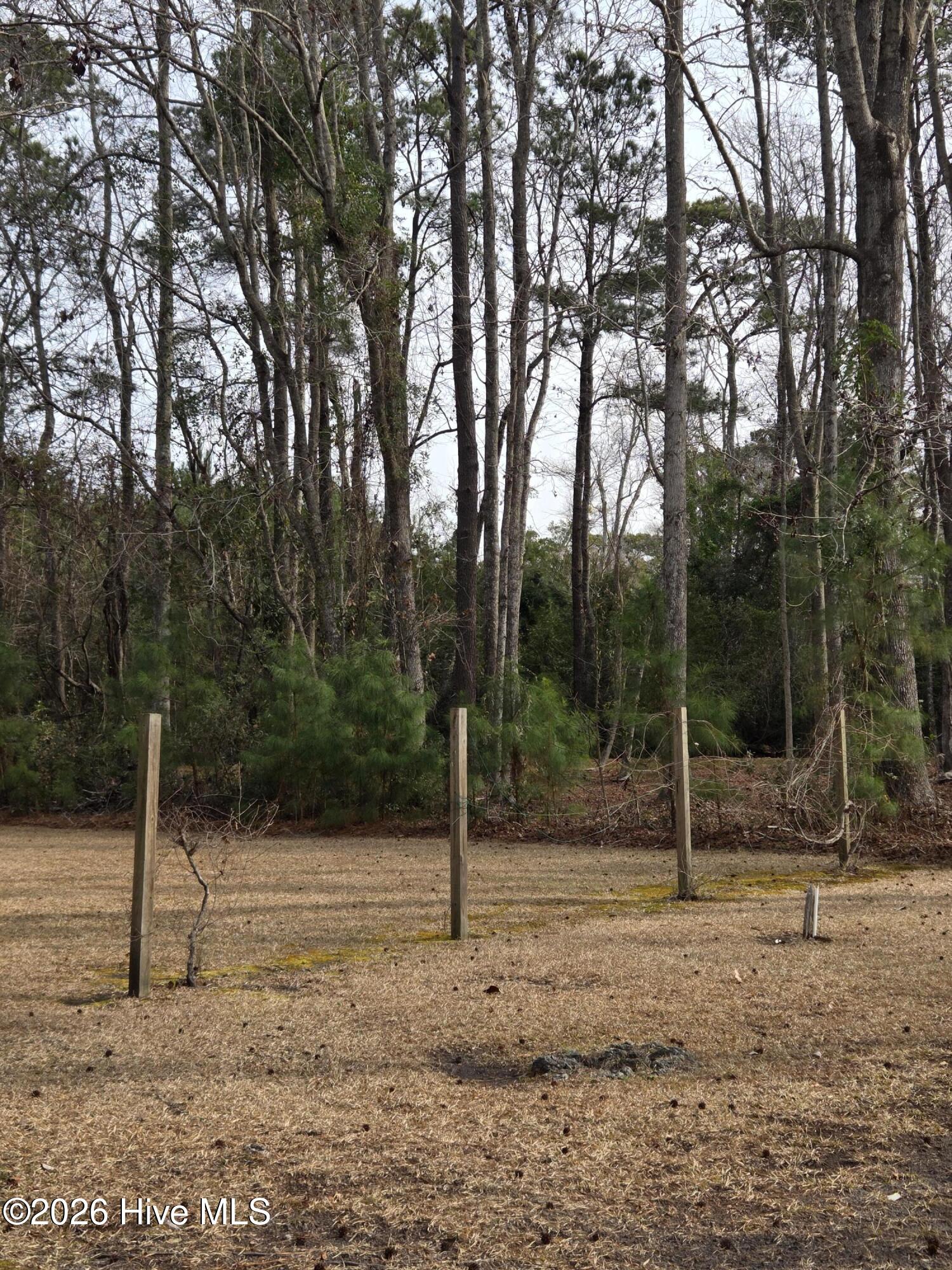 100551220 | Photo 20