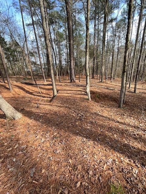 648 Wallace-Wells Circle, Lincolnton, GA, 30817