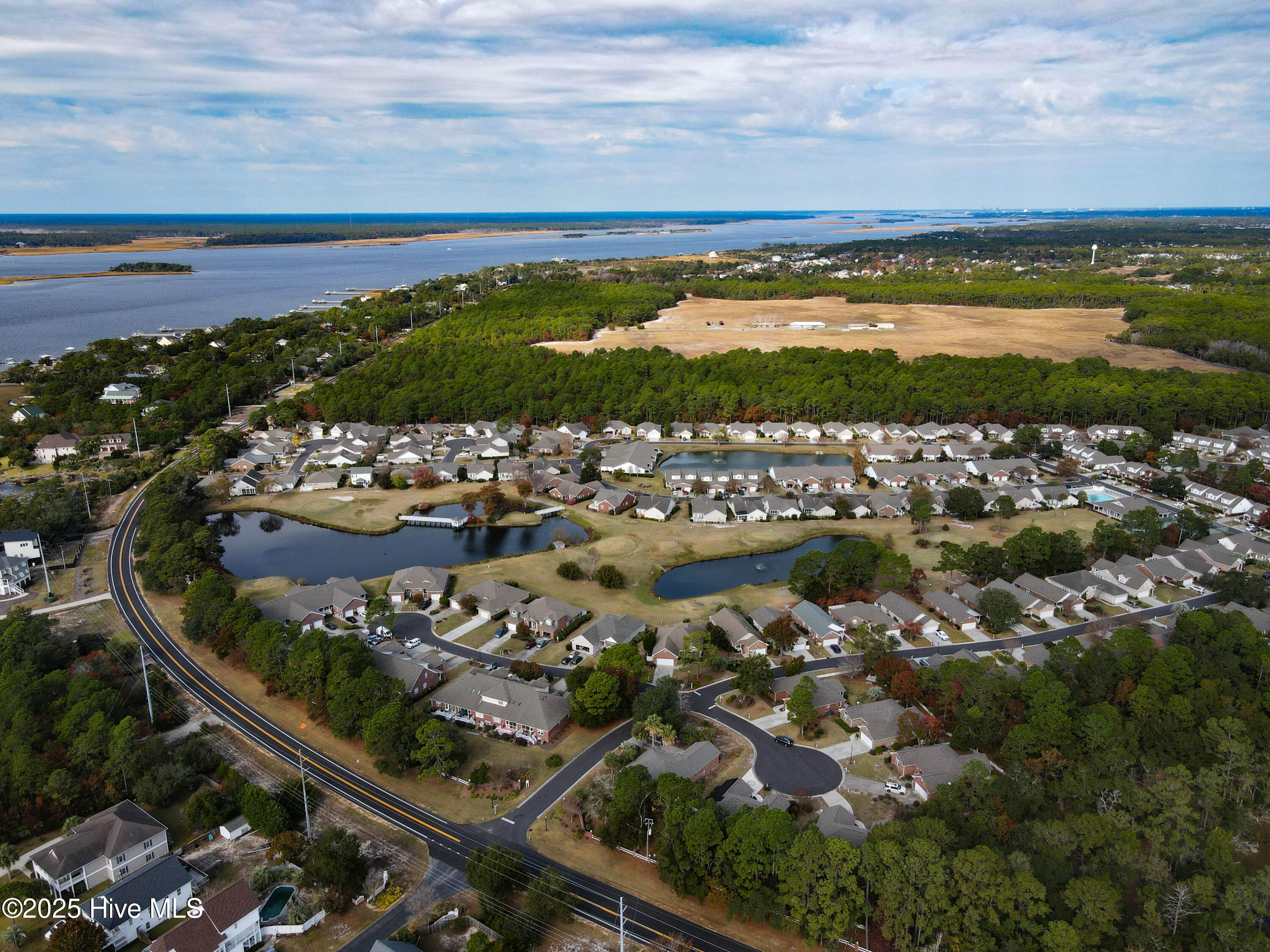 100542356 | Photo 47