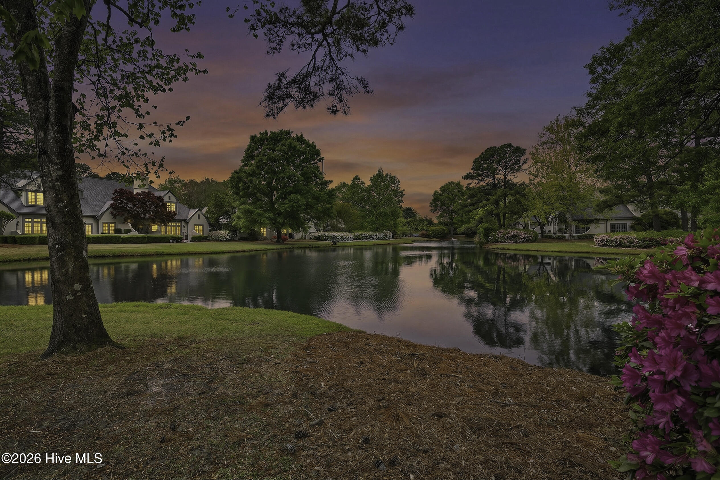 100565960 | Photo 20