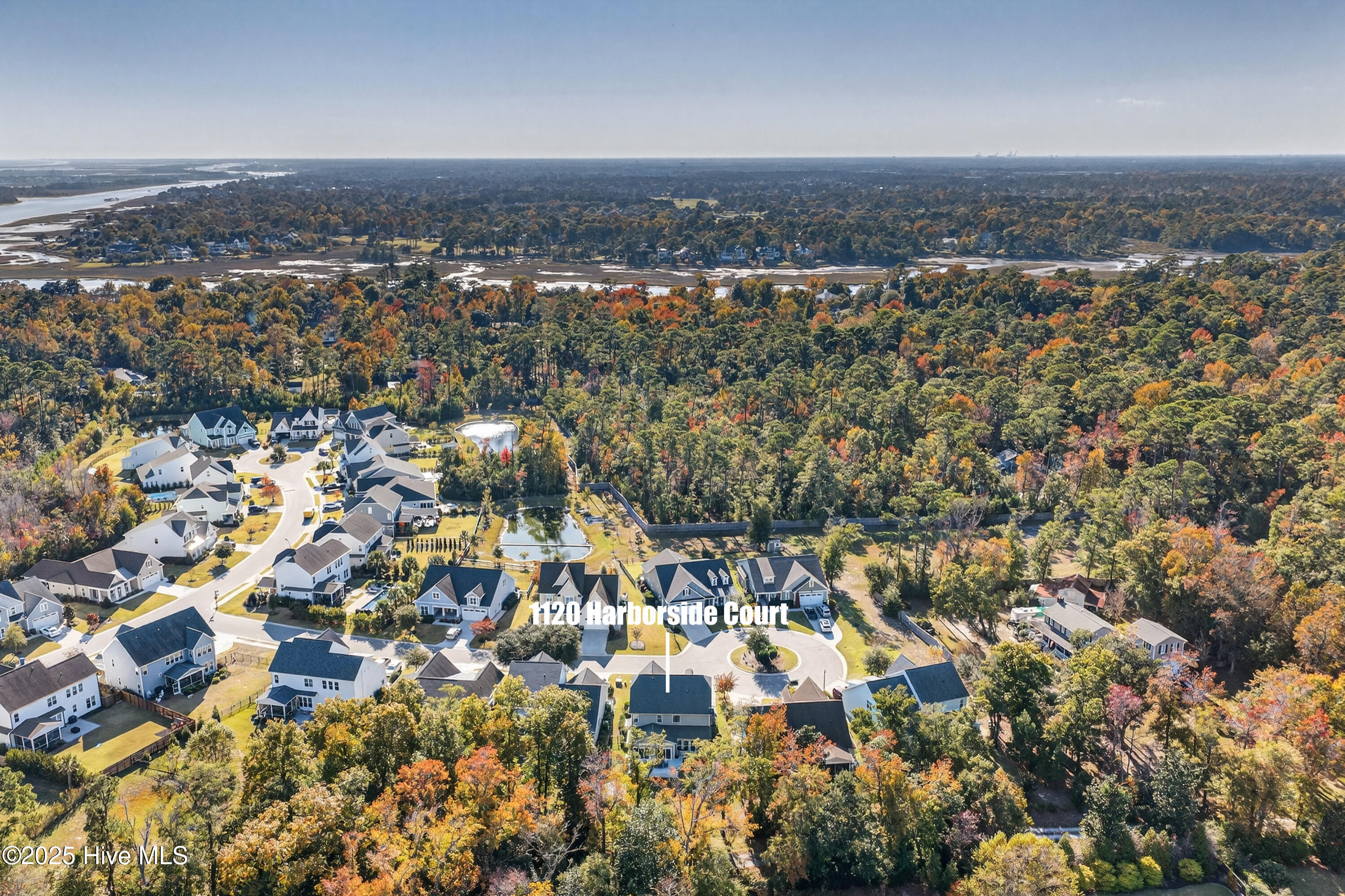 100540063 | Photo 57