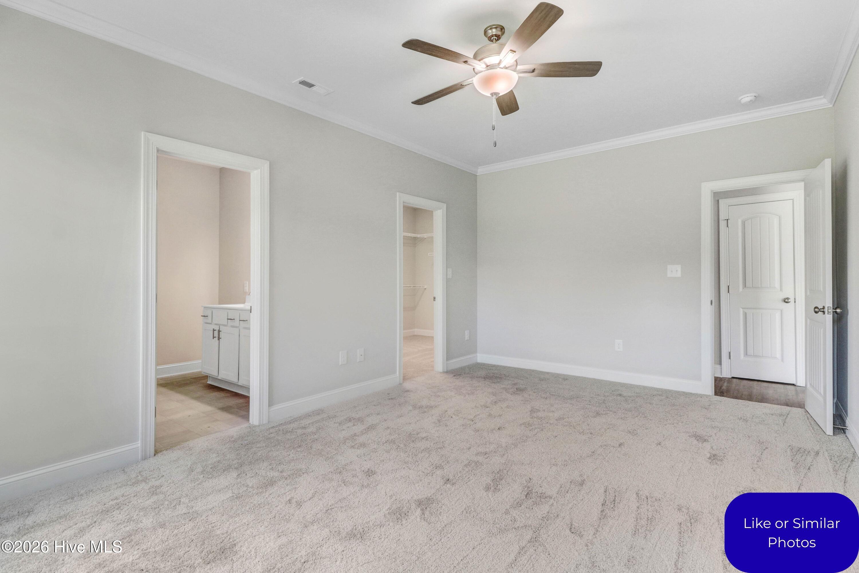 100570212 | Photo 19