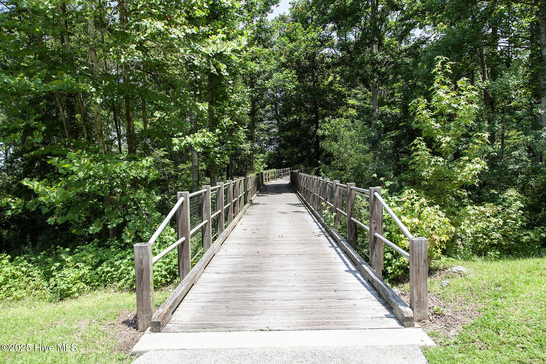 100556749 | Photo 65