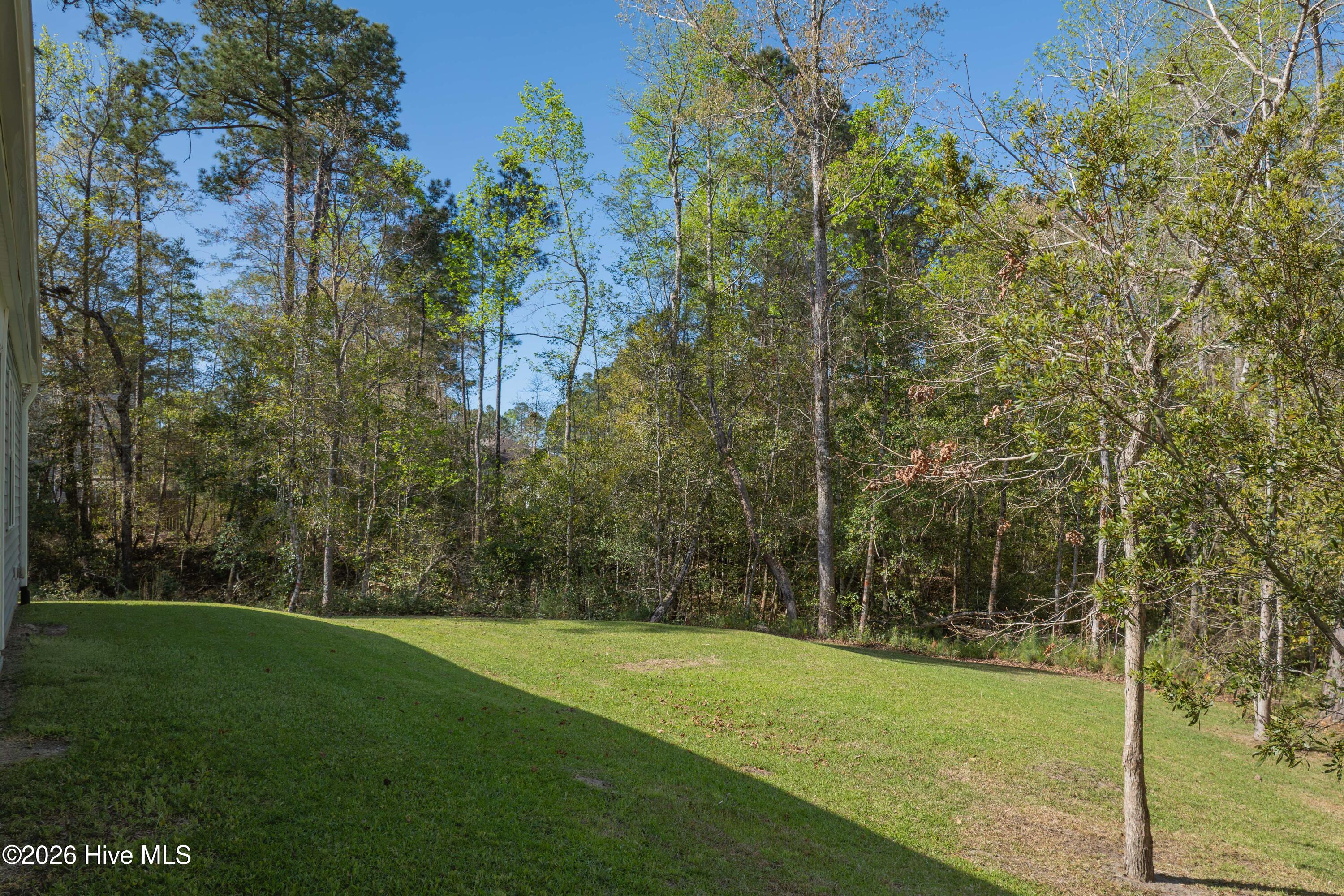 100565113 | Photo 11