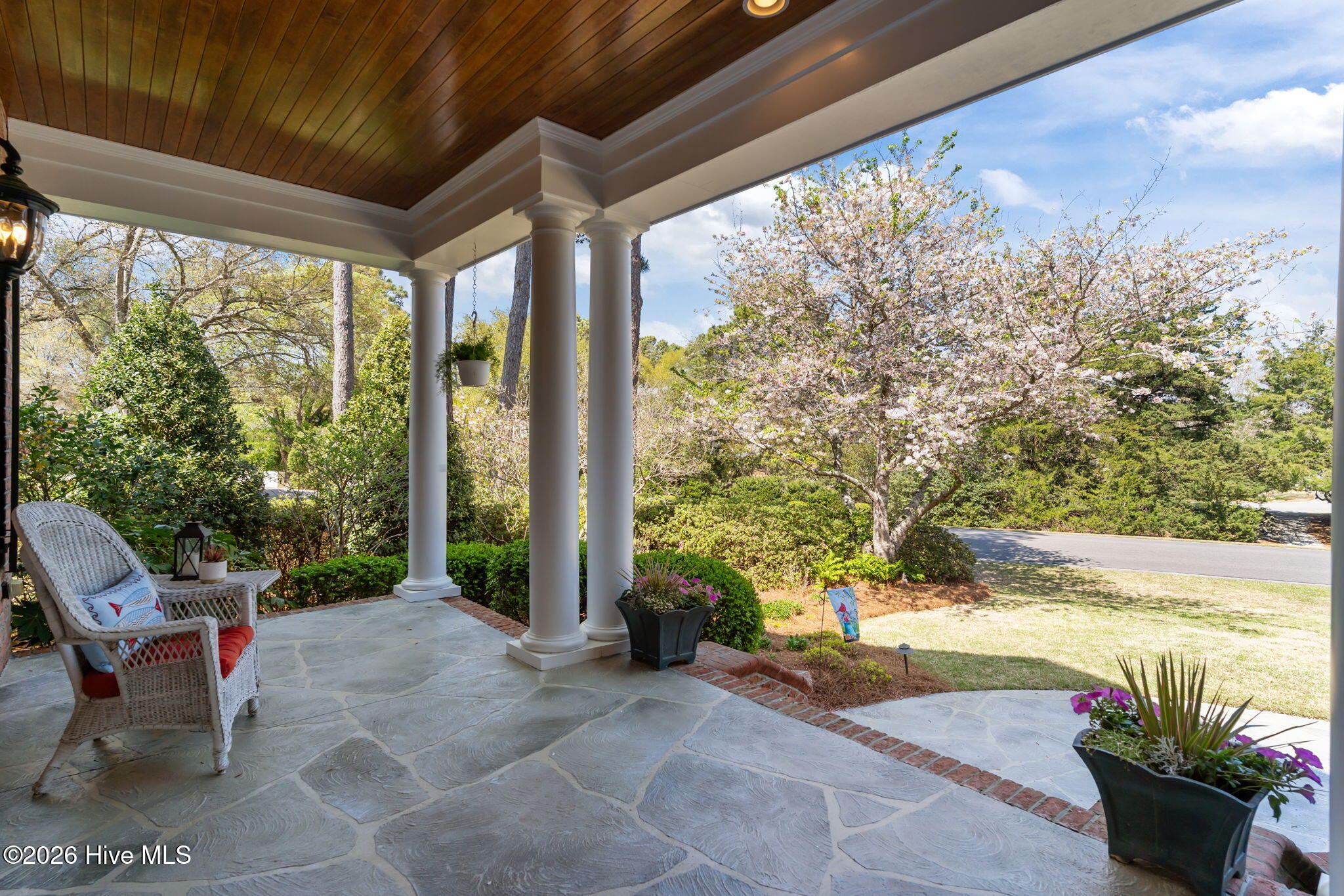 100564418 | Photo 56