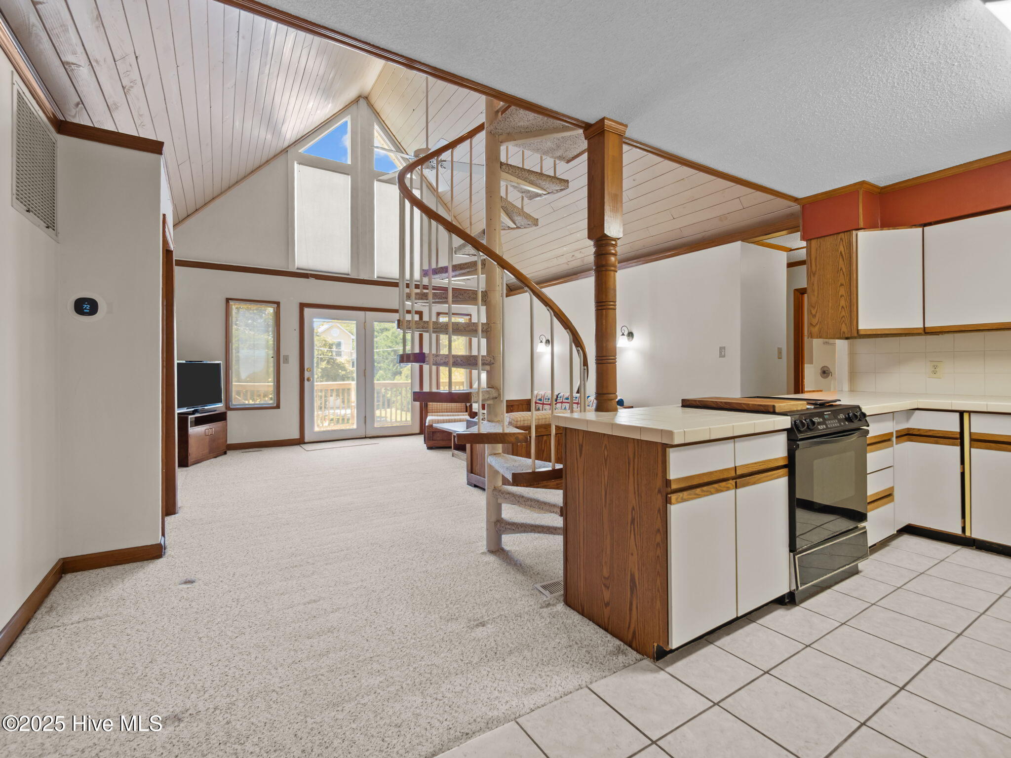 100533073 | Photo 12