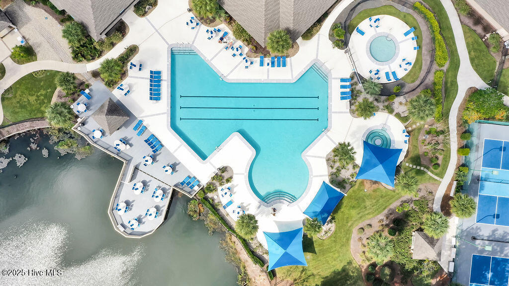 100535984 | Photo 80