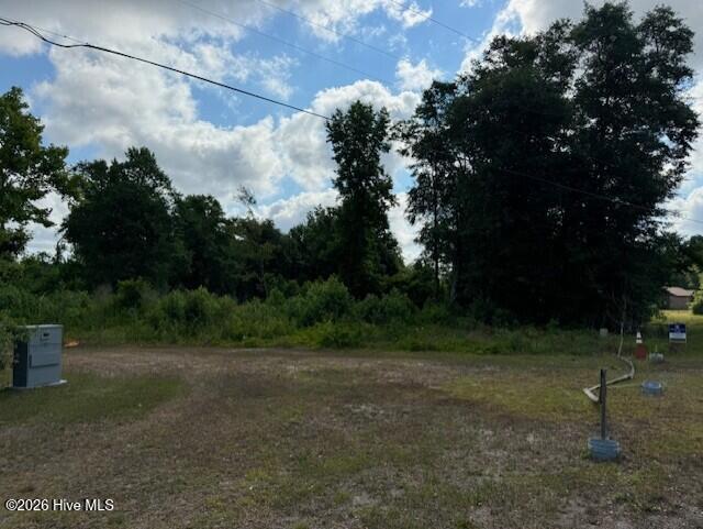 100569909 | Photo 10