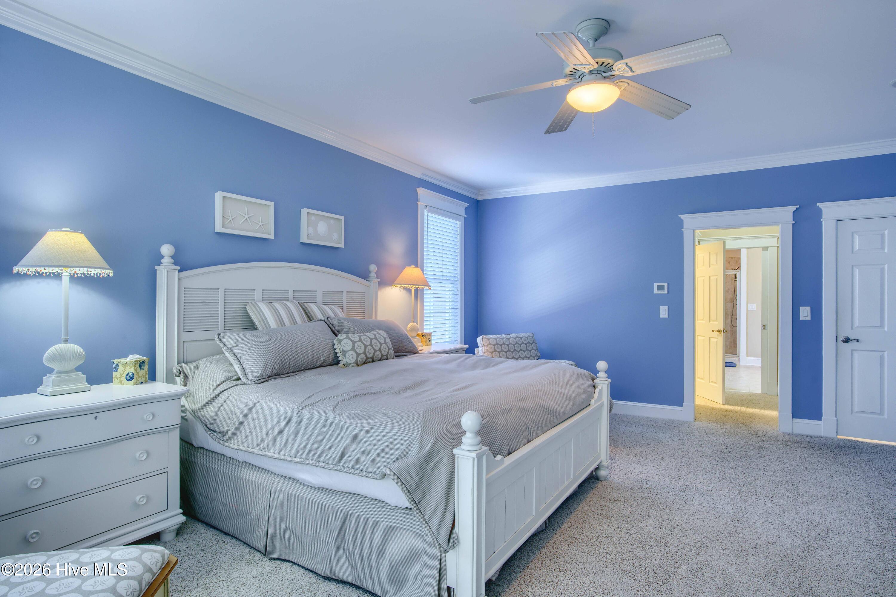 100549111 | Photo 44