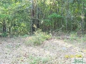 Property at 0 Salt Creek Road