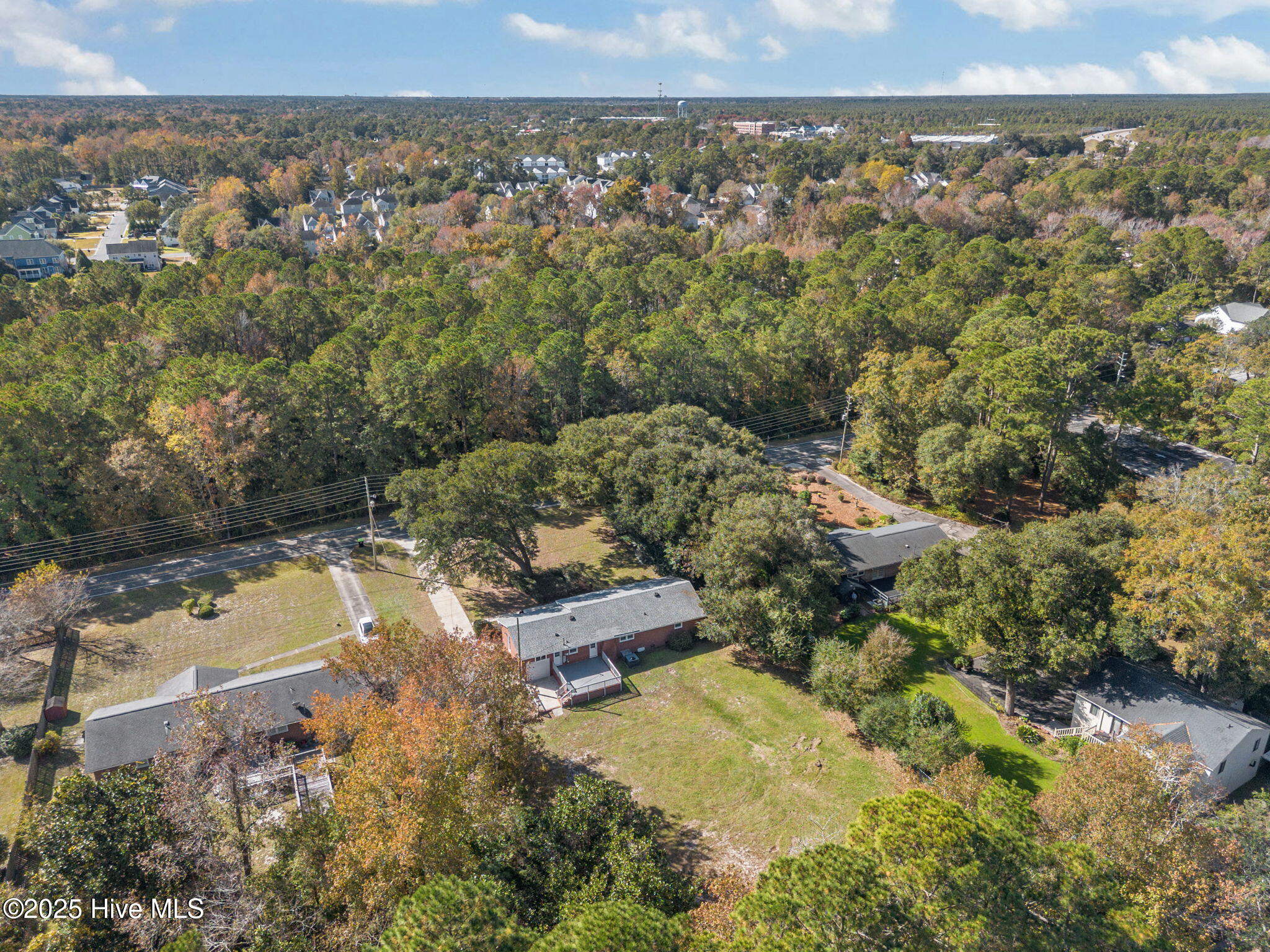 100540435 | Photo 43